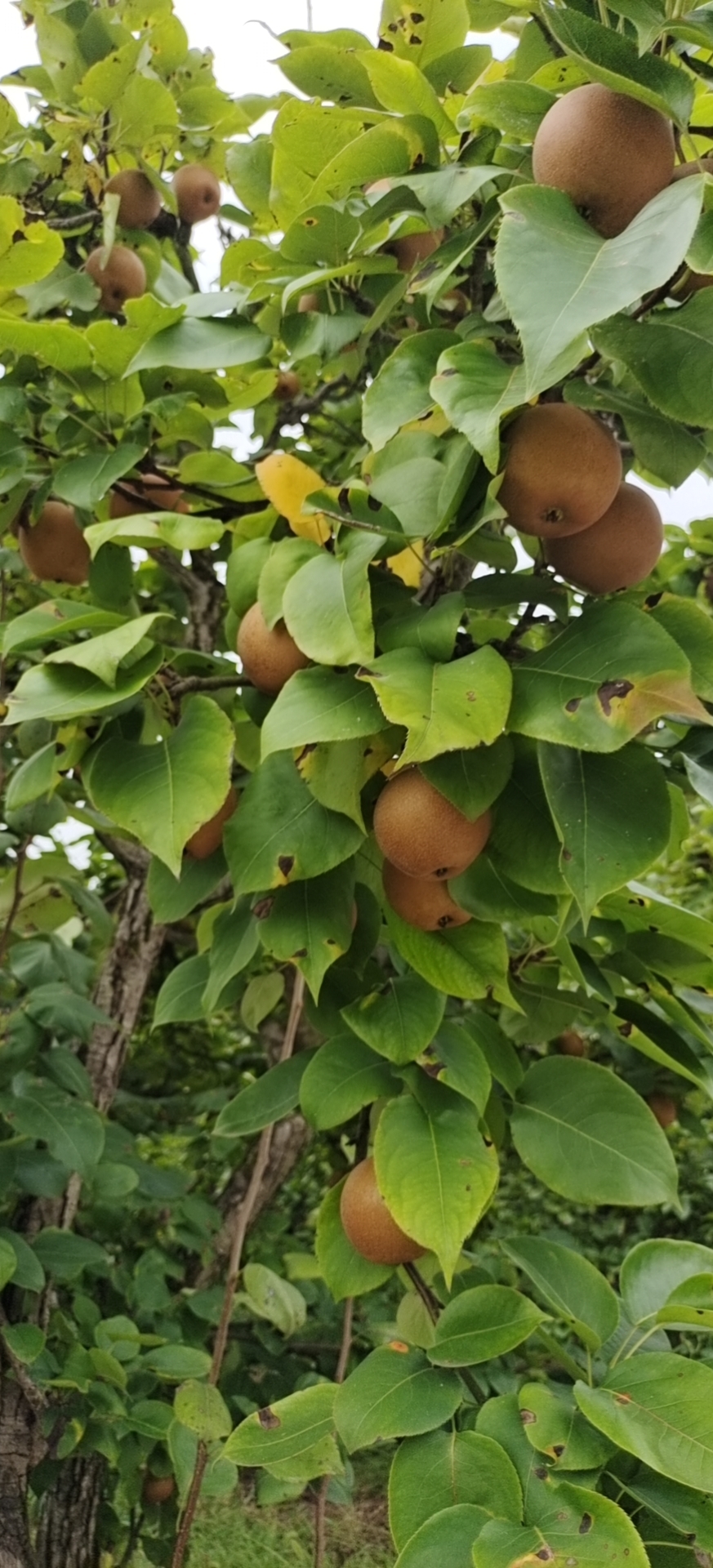 场地封面-裂谷风情驿站