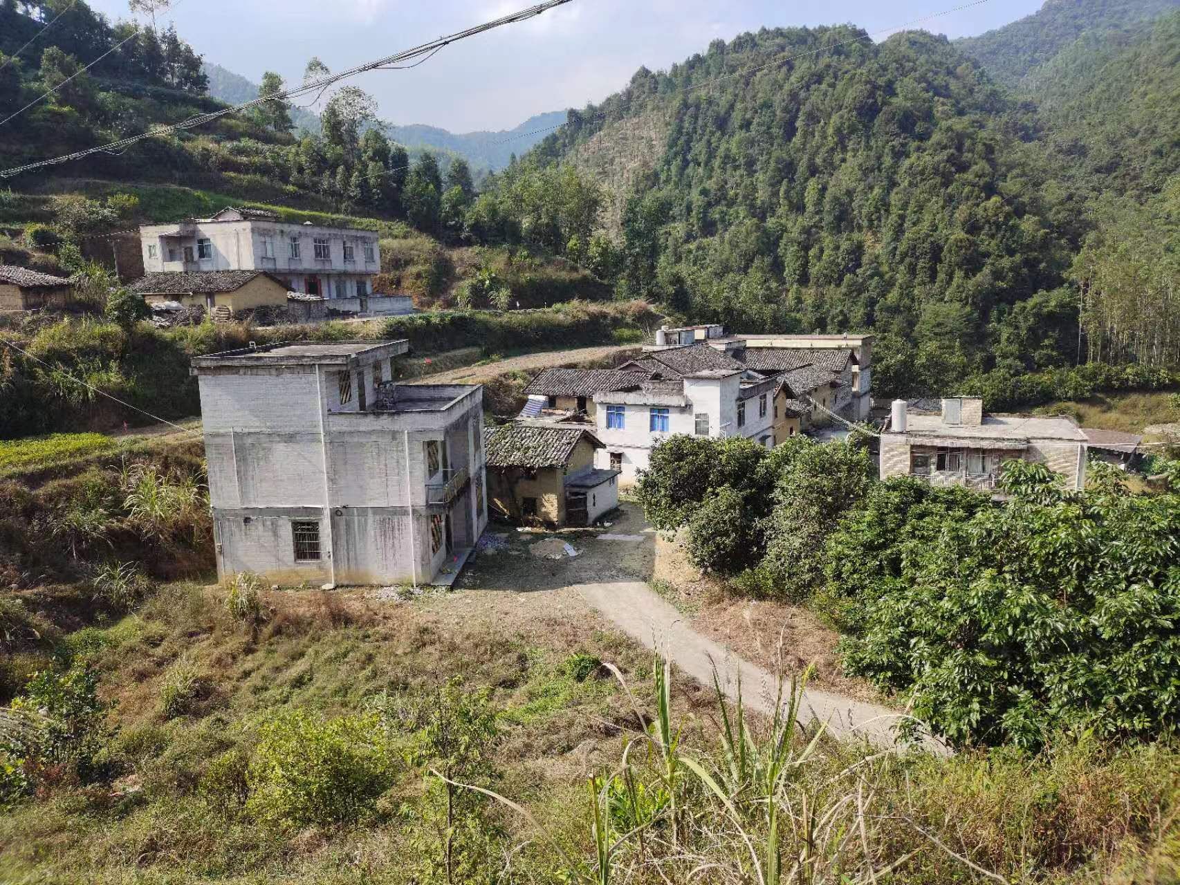 荣德堂旅行图片 3
