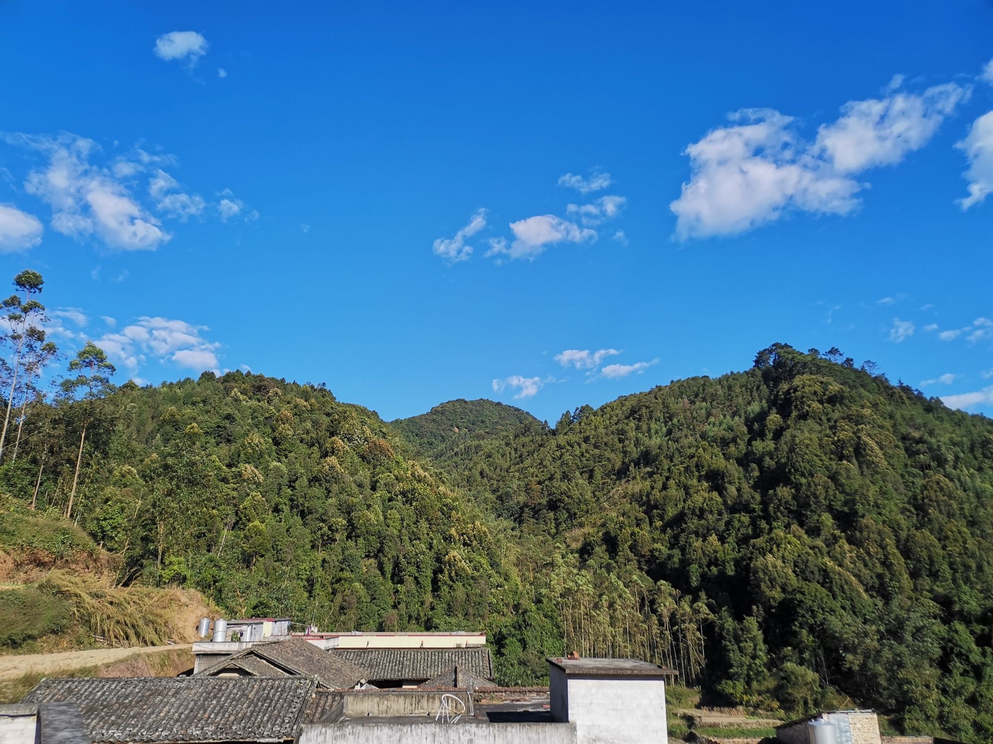 荣德堂旅行图片 2