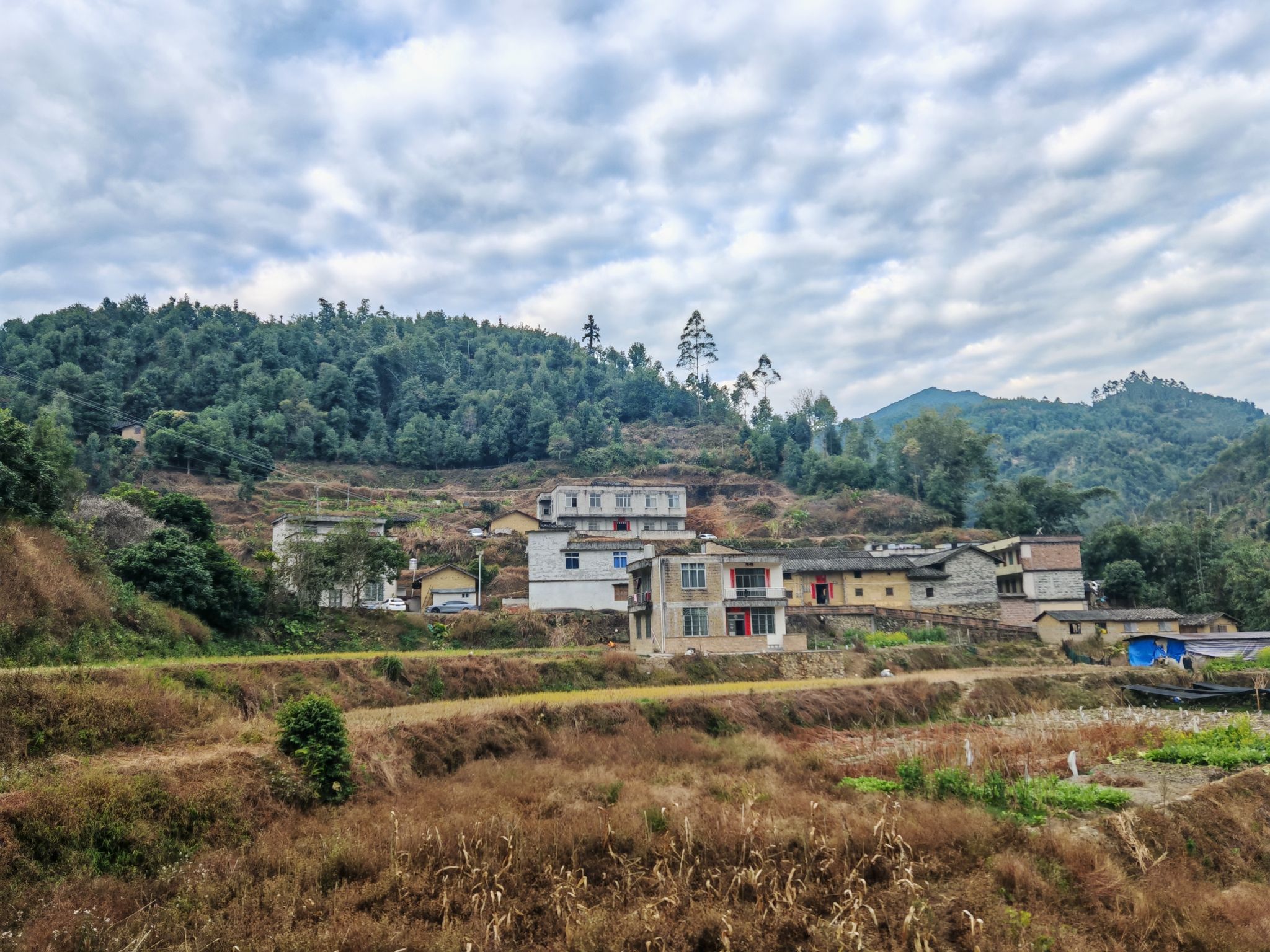 荣德堂旅行图片 1