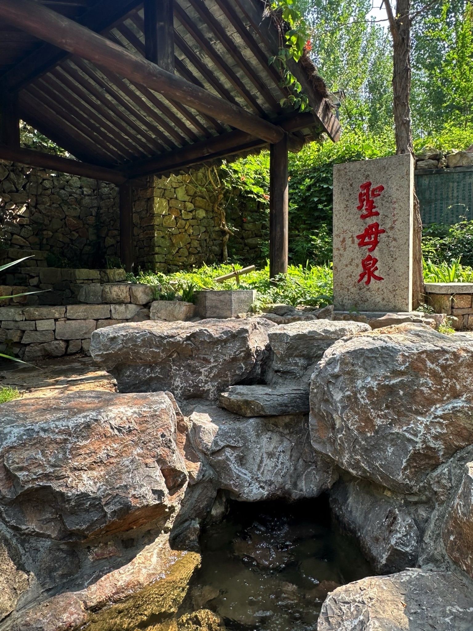 圣母泉旅行图片 1
