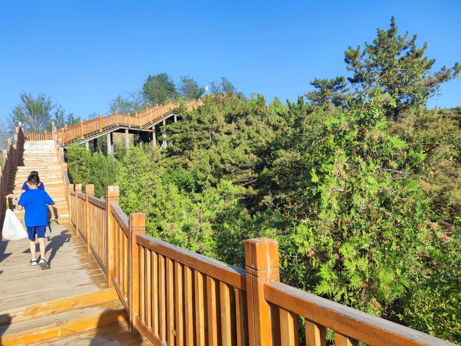 张家口山顶体育公园