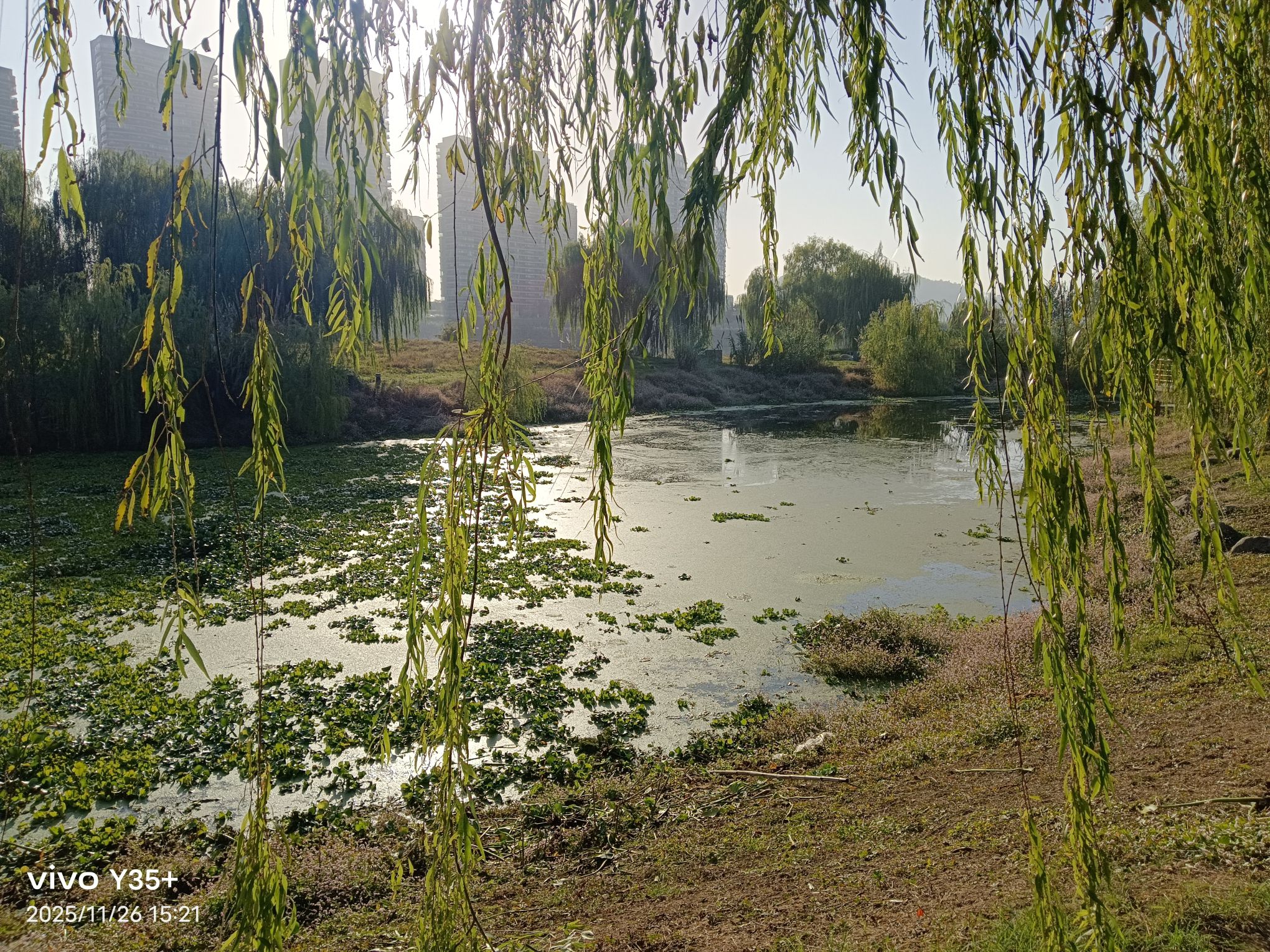 南门湿地公园