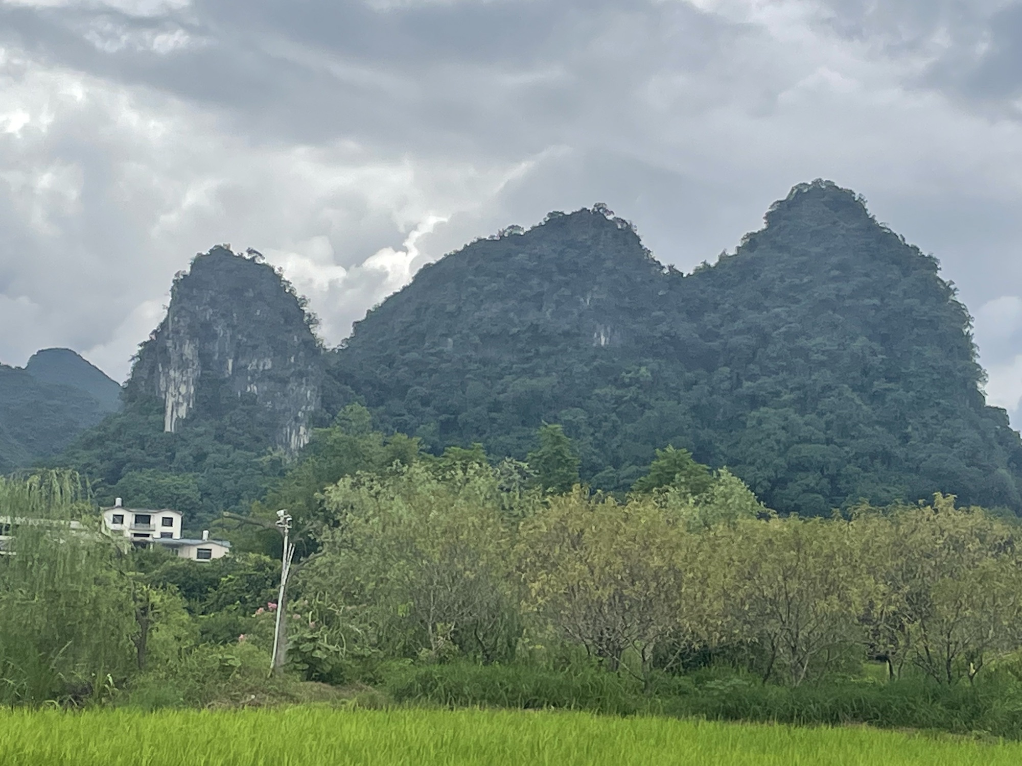 阳朔遇龙河国家级旅游度假区旅行图片 2