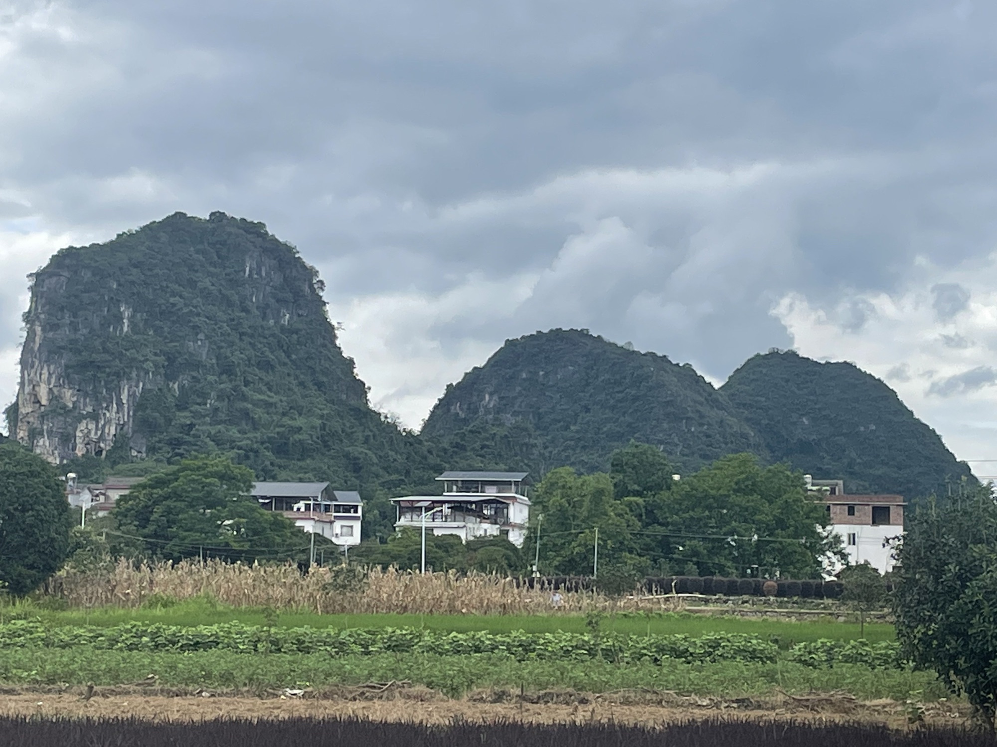 阳朔遇龙河国家级旅游度假区旅行图片 1