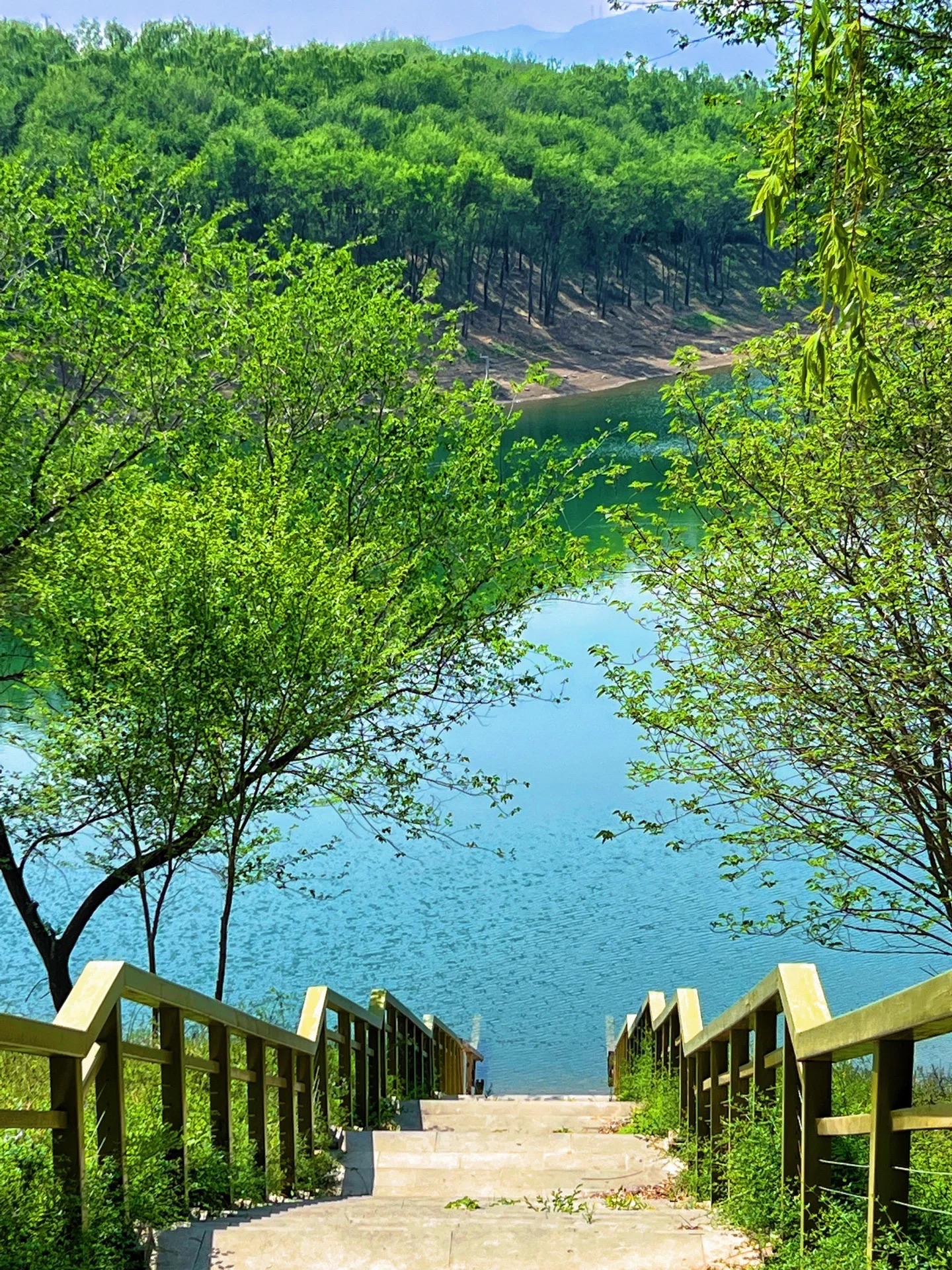 影湖楼公园旅行图片 1