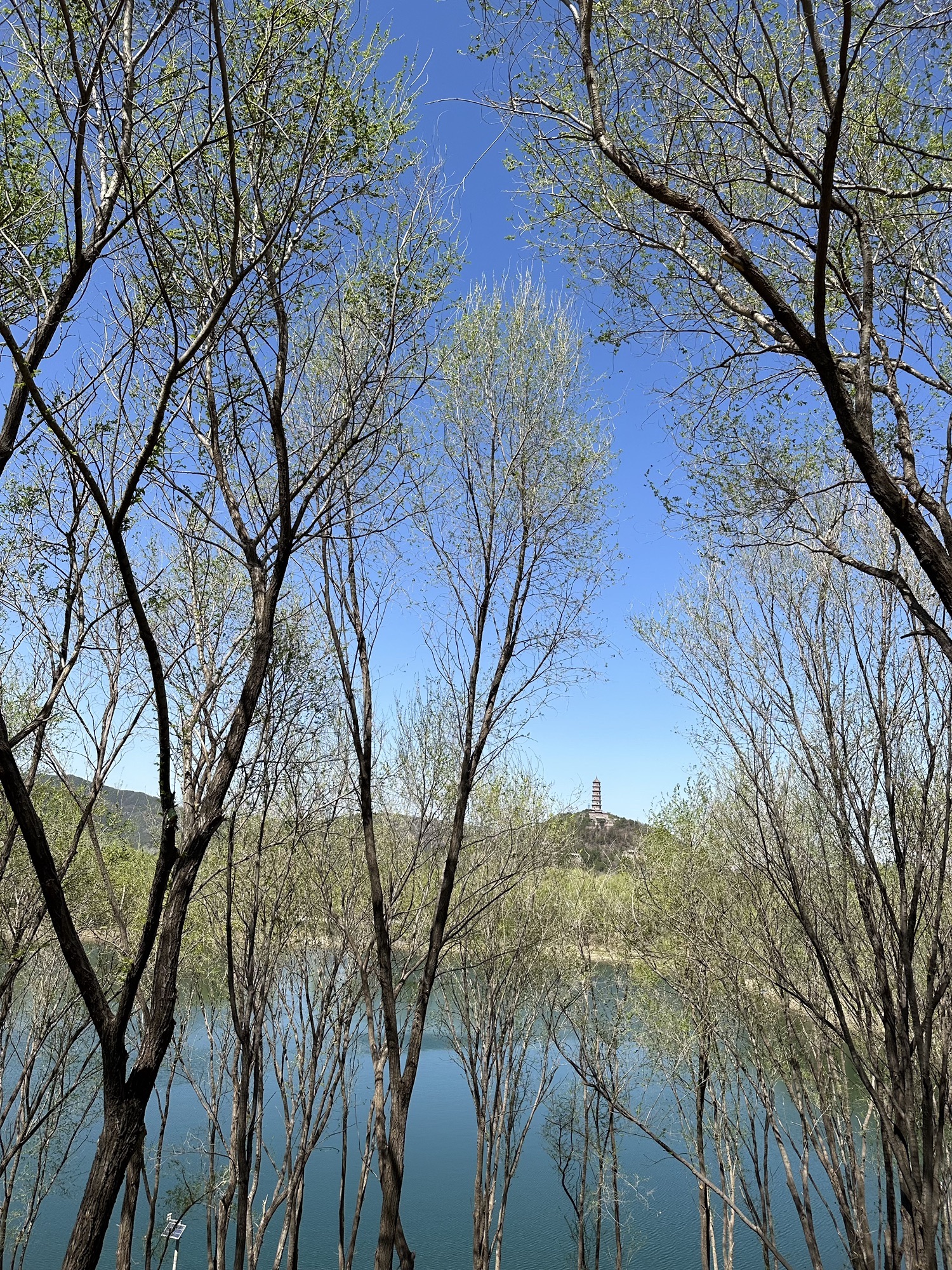 影湖楼公园旅行图片 3
