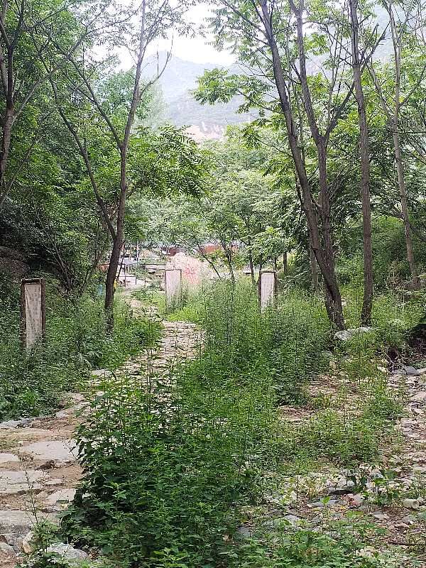 五龙池旅行图片 2