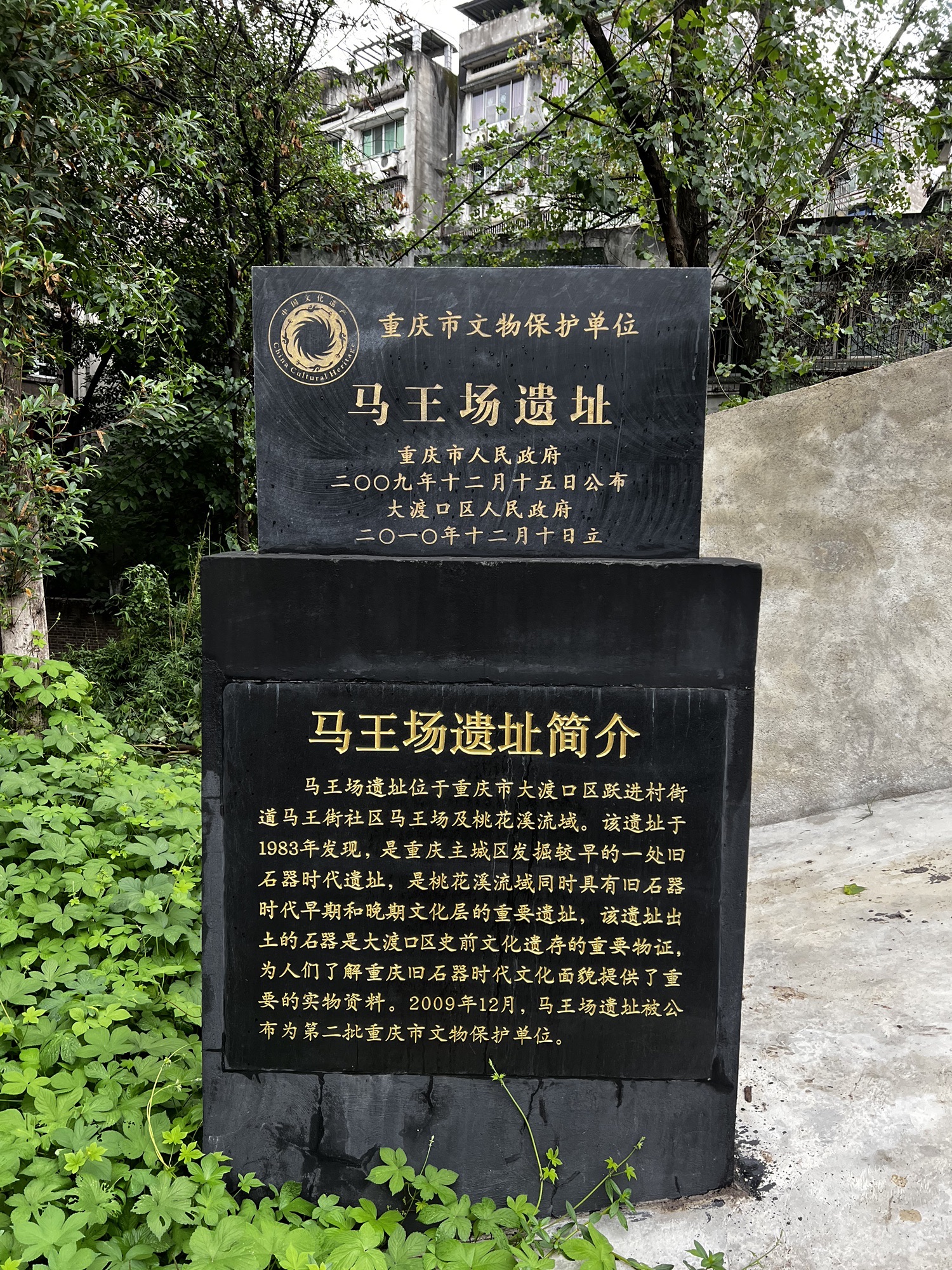马王场遗址旅行图片 1
