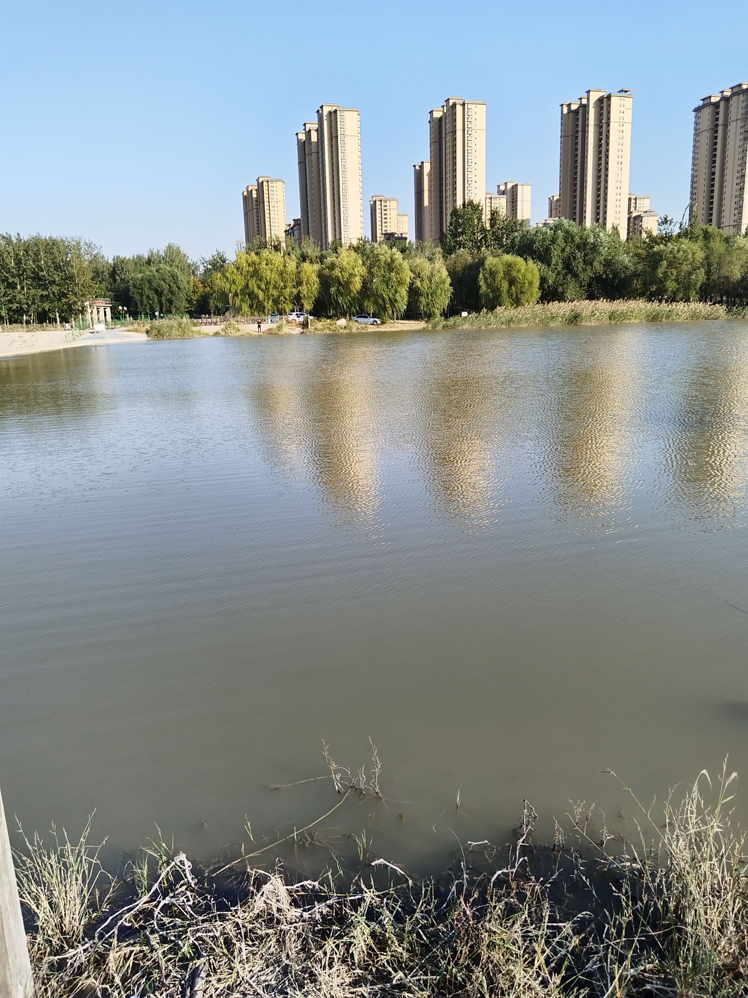 减河湿地风景区-风车旅行图片 3