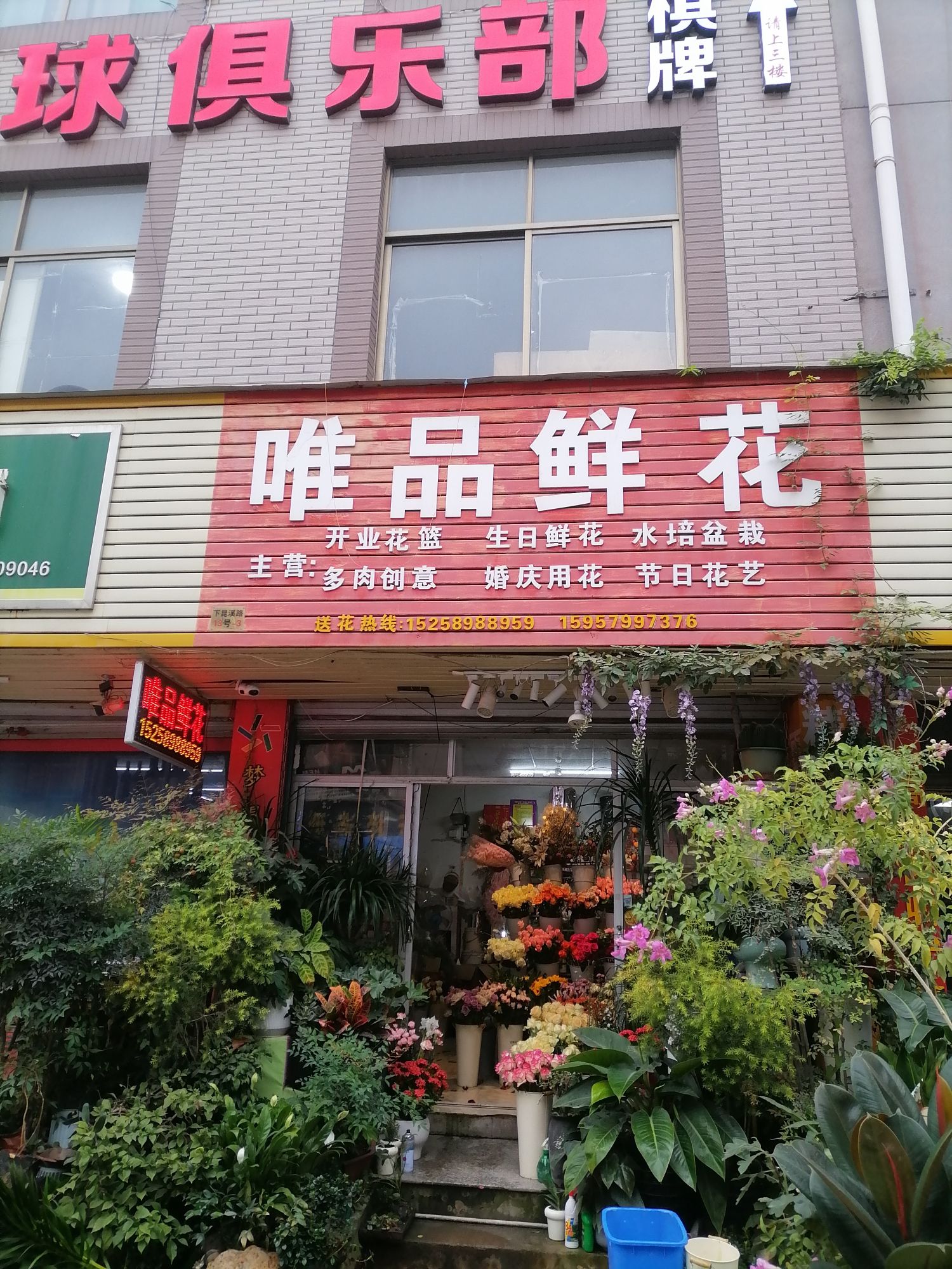 唯品鲜花(昆溪路店)