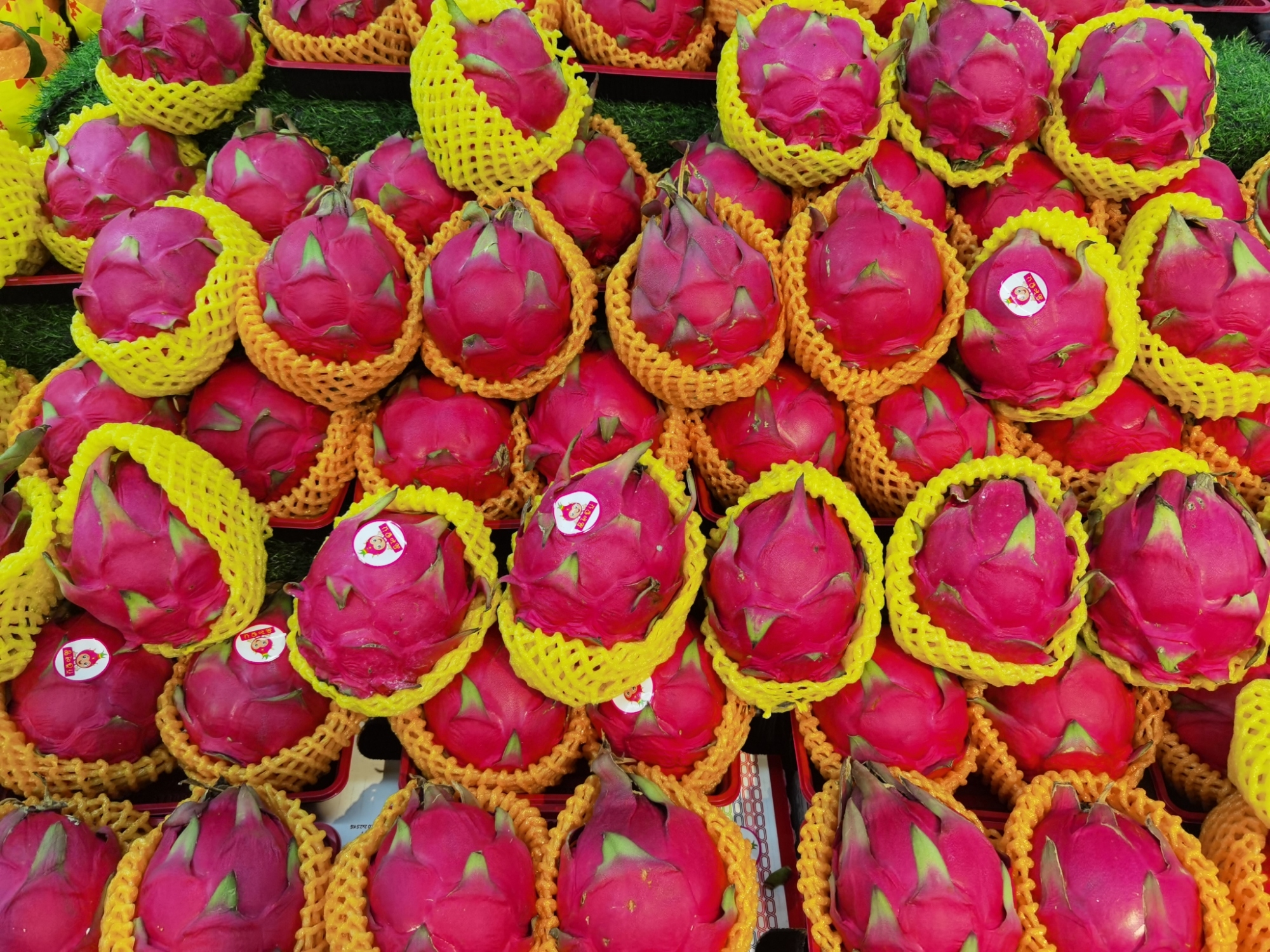 草摩家水果(丽水金桥东路店)