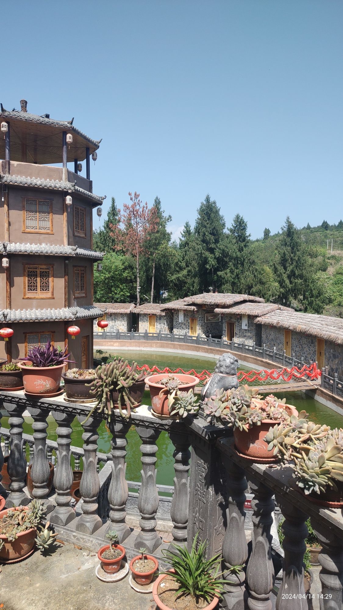 石上生花旅行图片 1