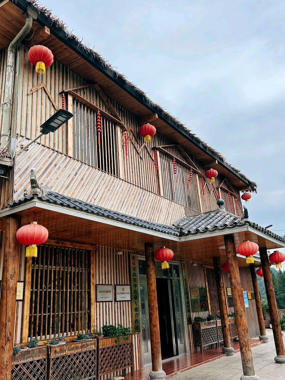 石上生花旅行图片 3