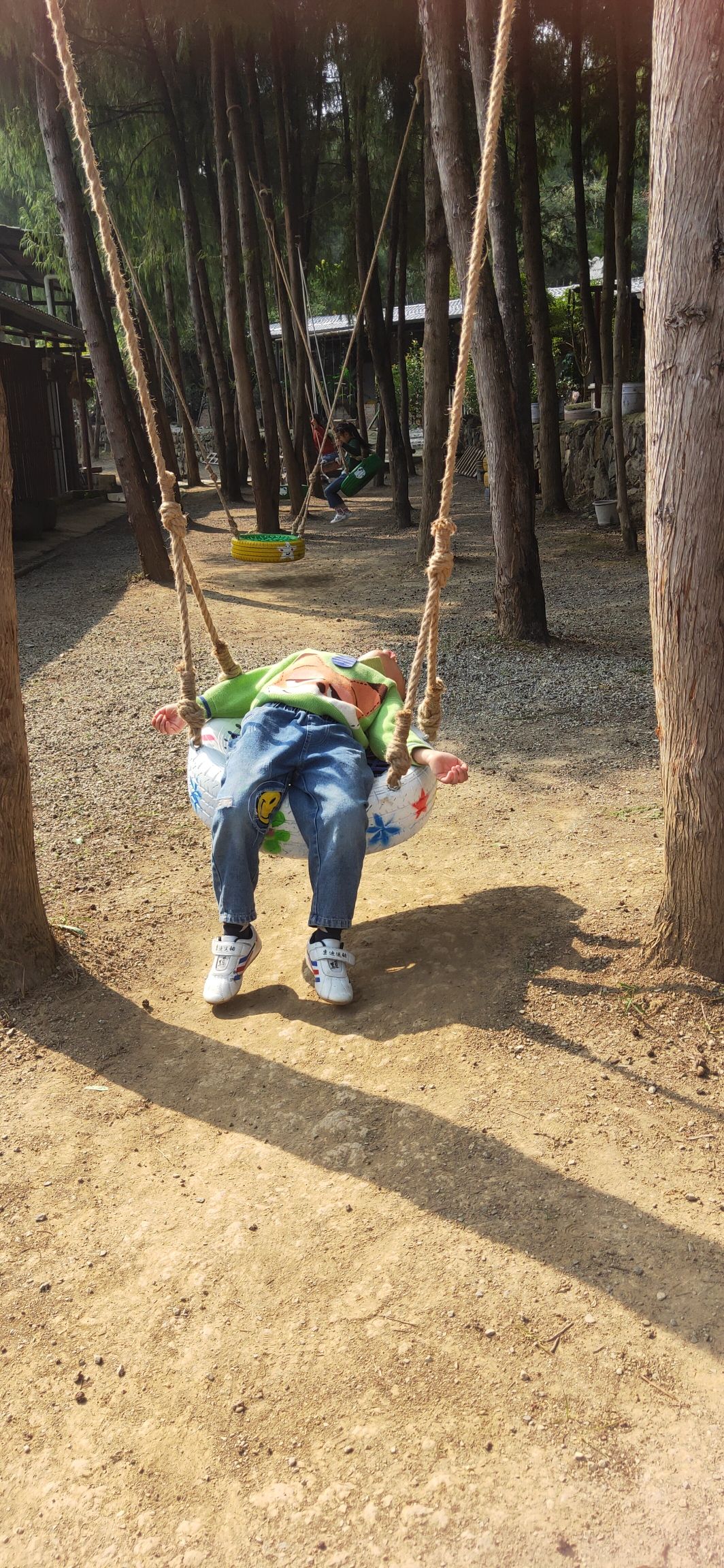 石上生花旅行图片 1