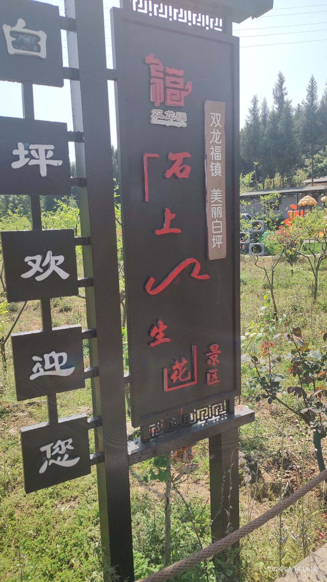 石上生花旅行图片 3