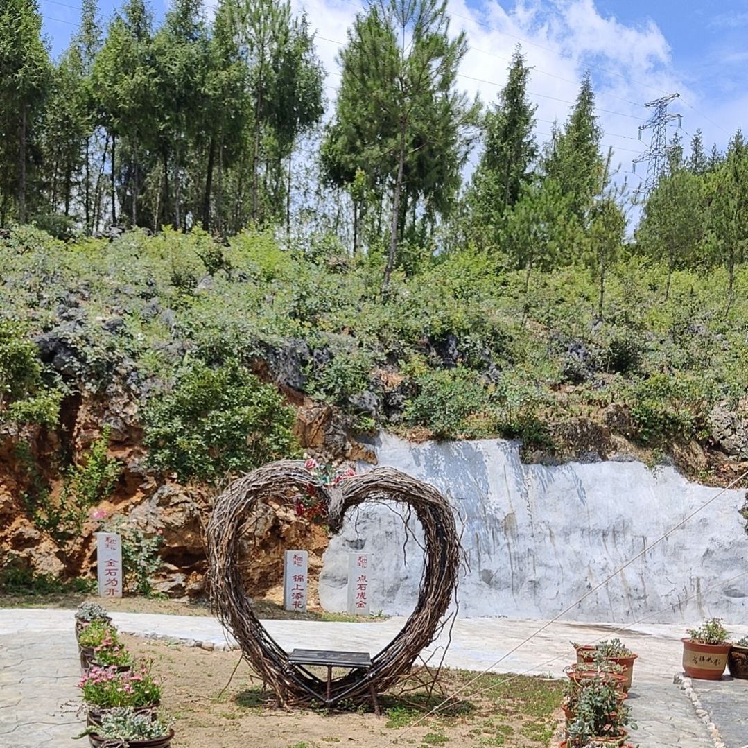 石上生花旅行图片 1