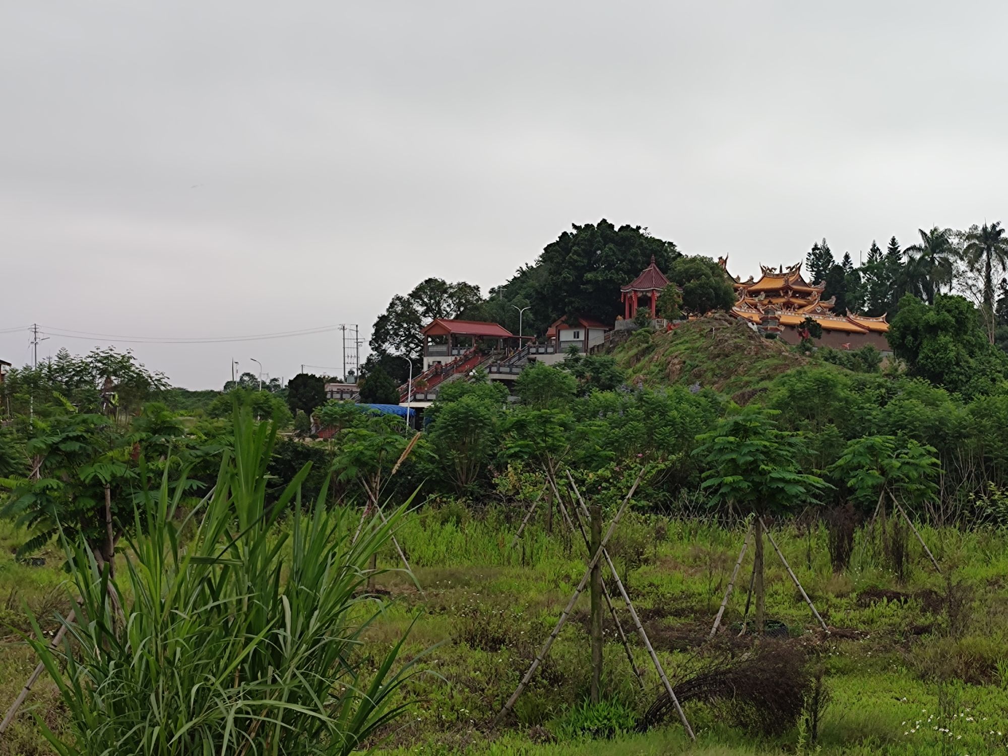 象鼻山石壁庙