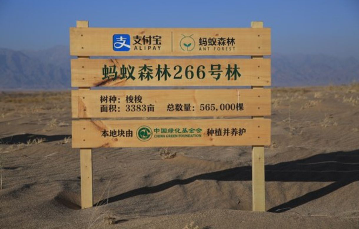 蚂蚁森林266号林旅行图片