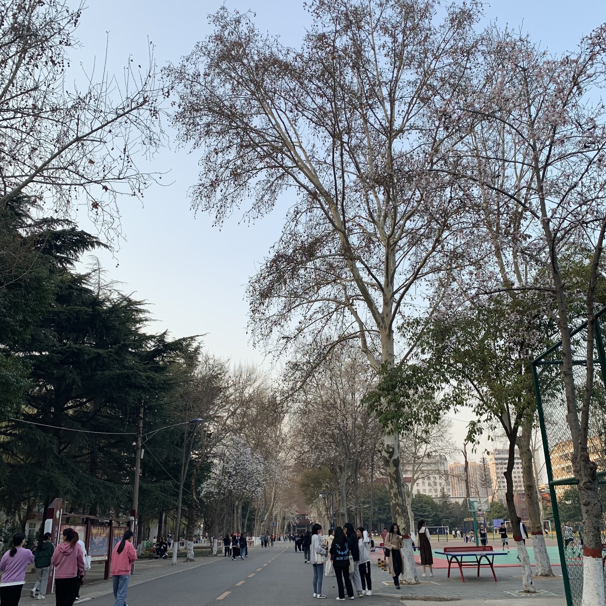 南阳农业职业学院(东校区)