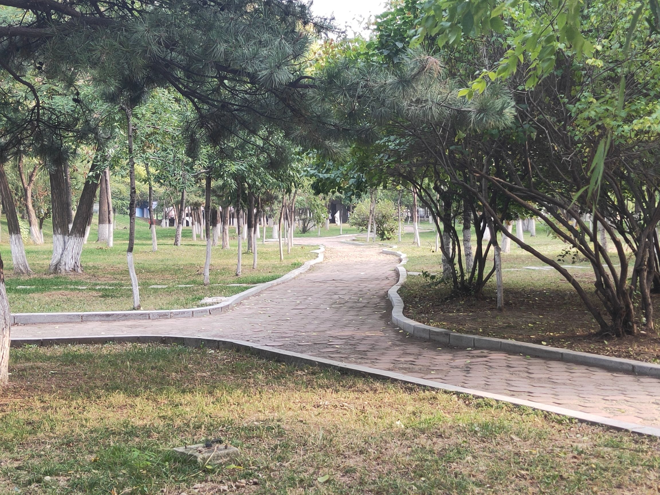 西柳万芳园公园