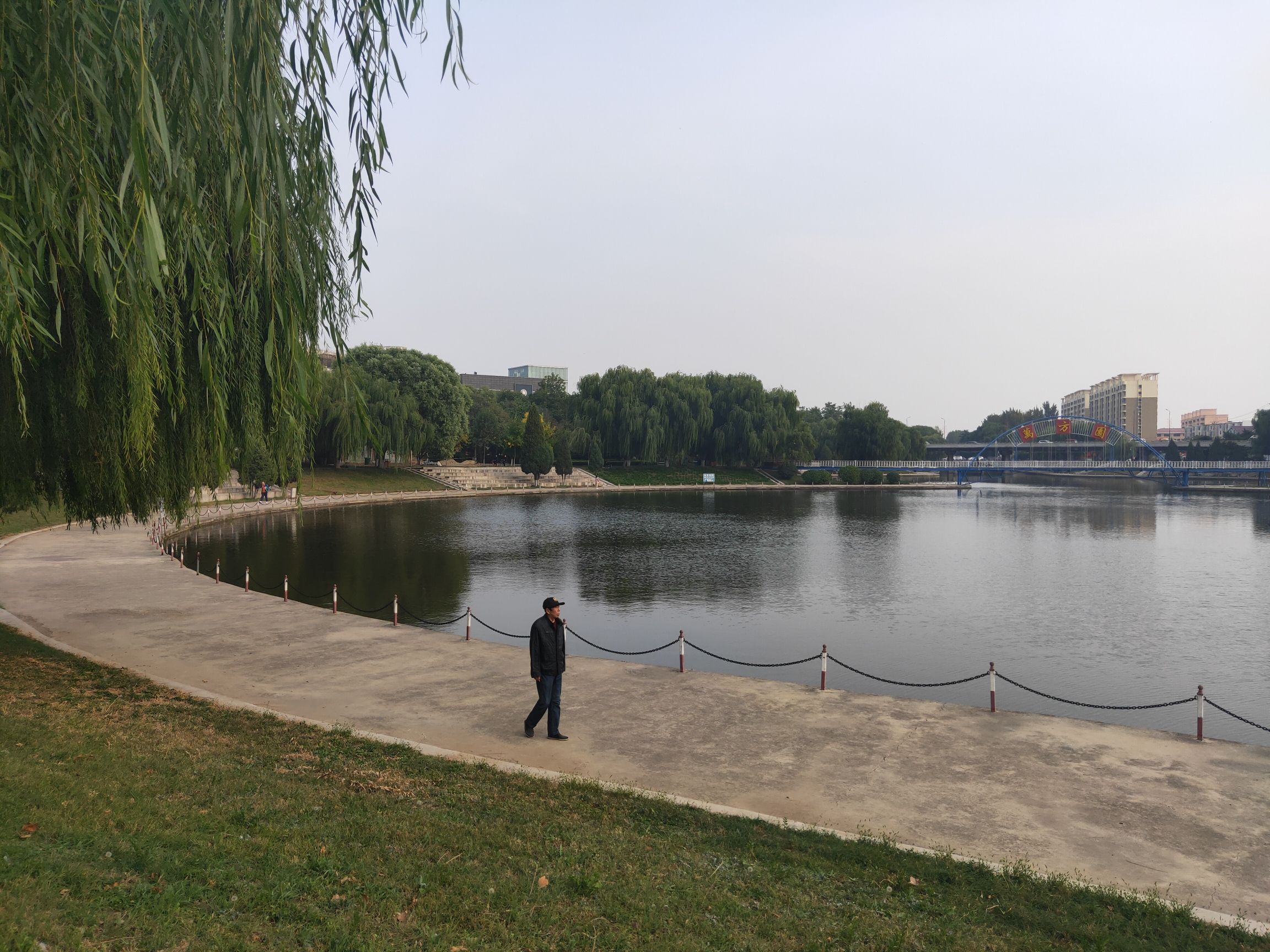 西柳万芳园公园旅行图片 3