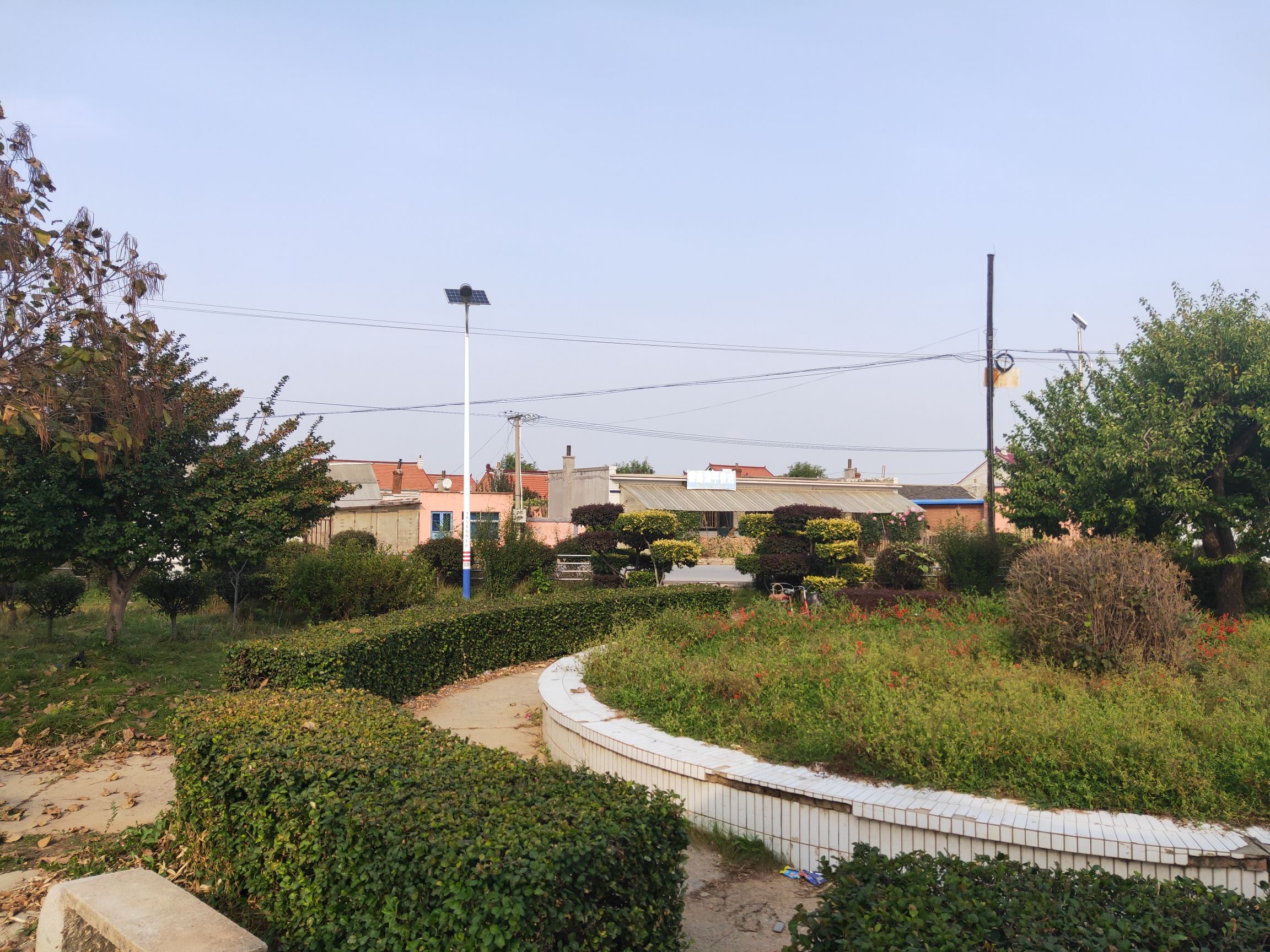 西柳万芳园公园旅行图片 2