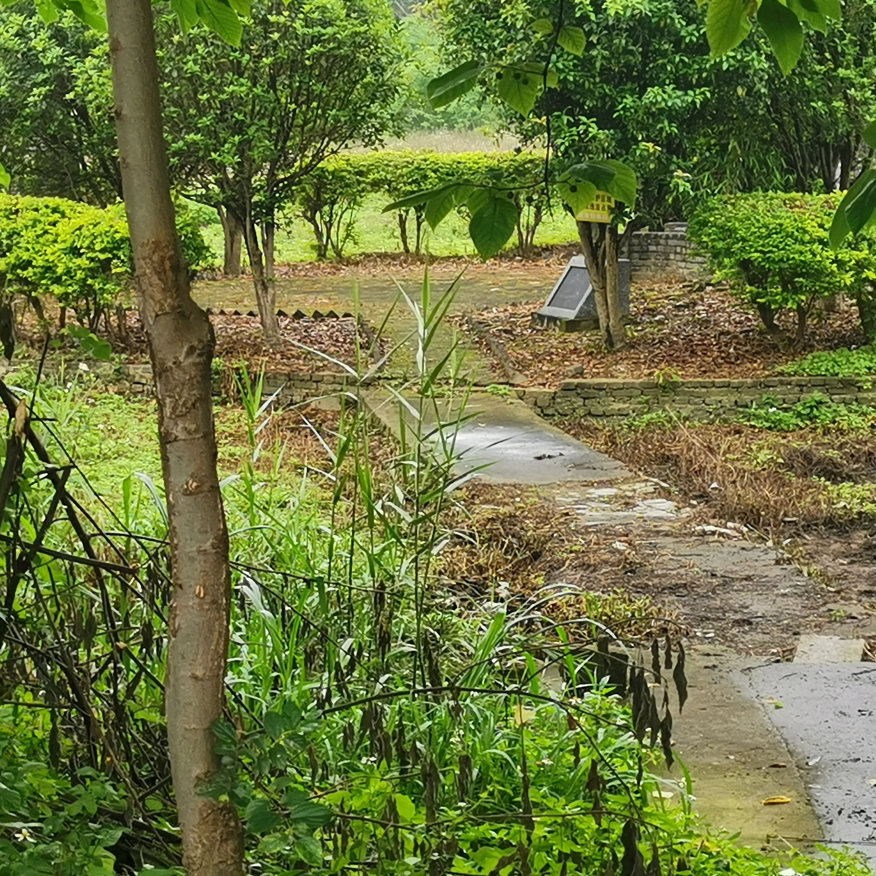 刘蕡墓旅行图片 1