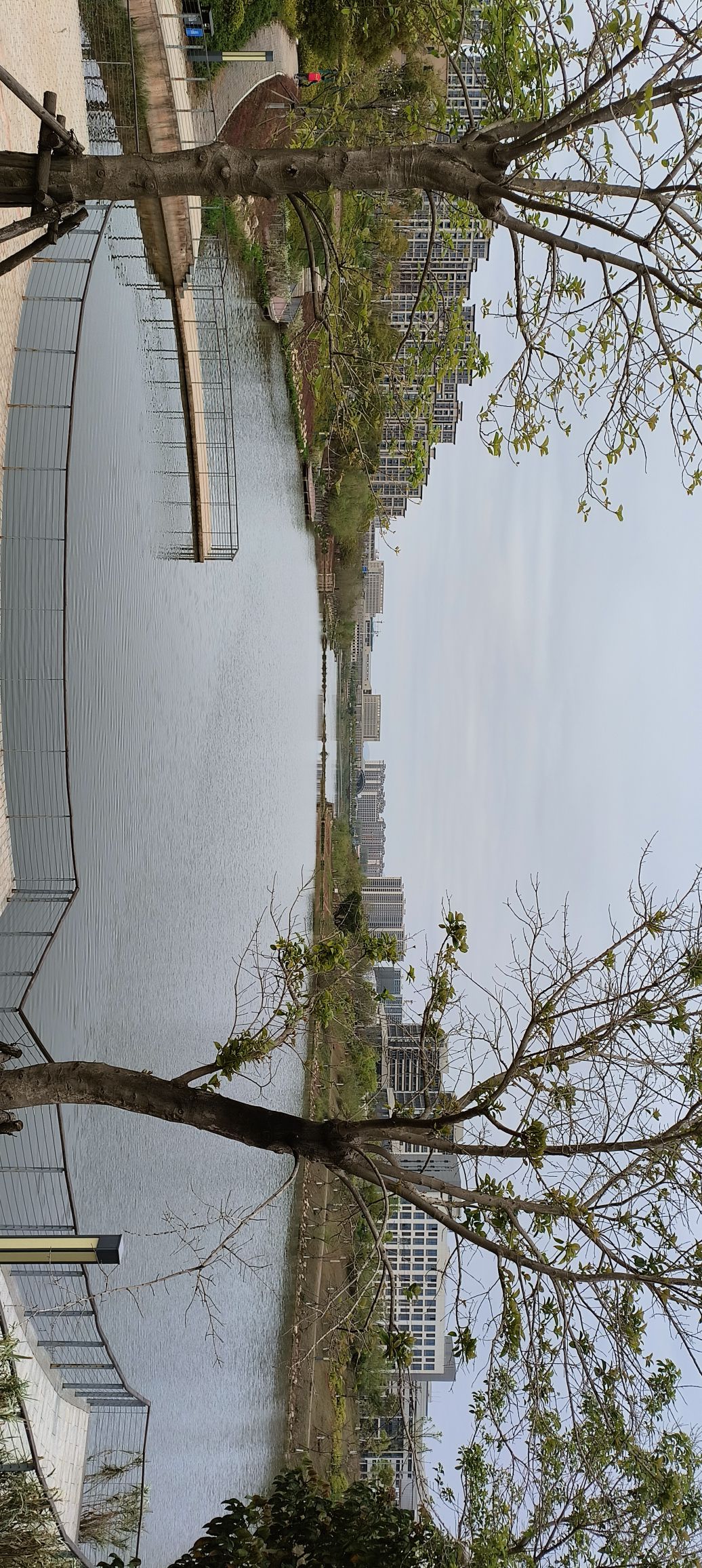 唐龙公园旅行图片 3