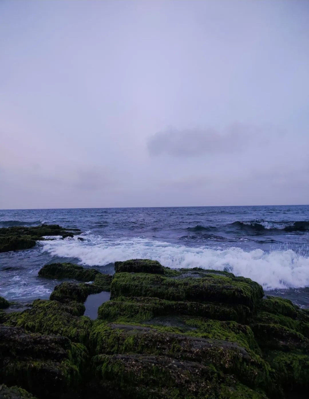 杨屋沙滩旅行图片 1