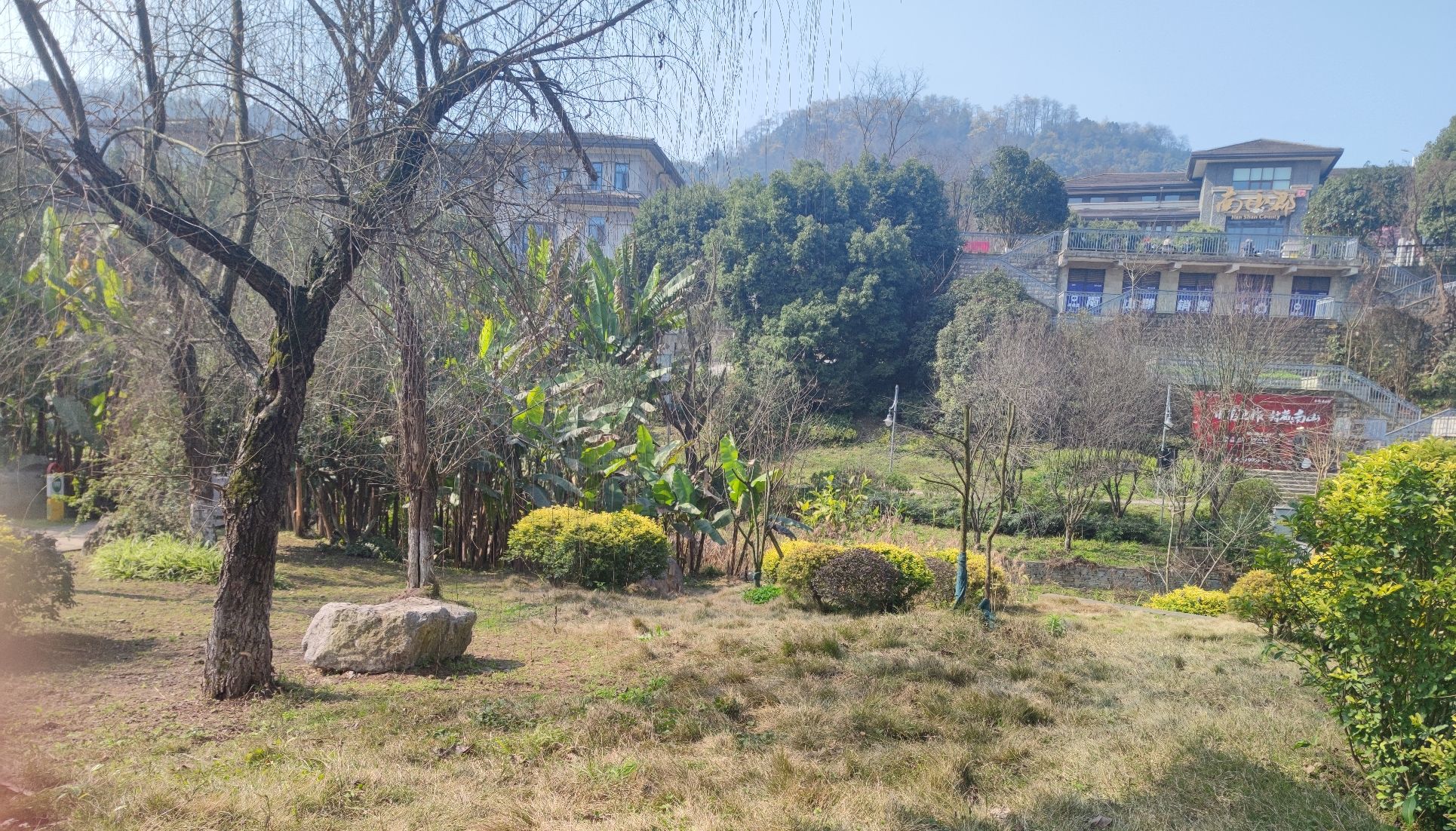 南山中央湿地公园旅行图片 2