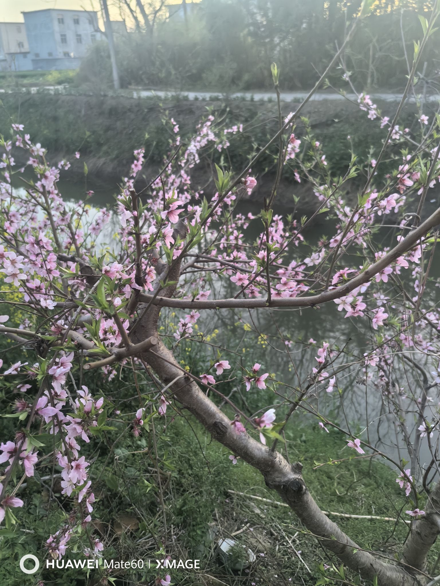 小涎河风景区旅行图片 1