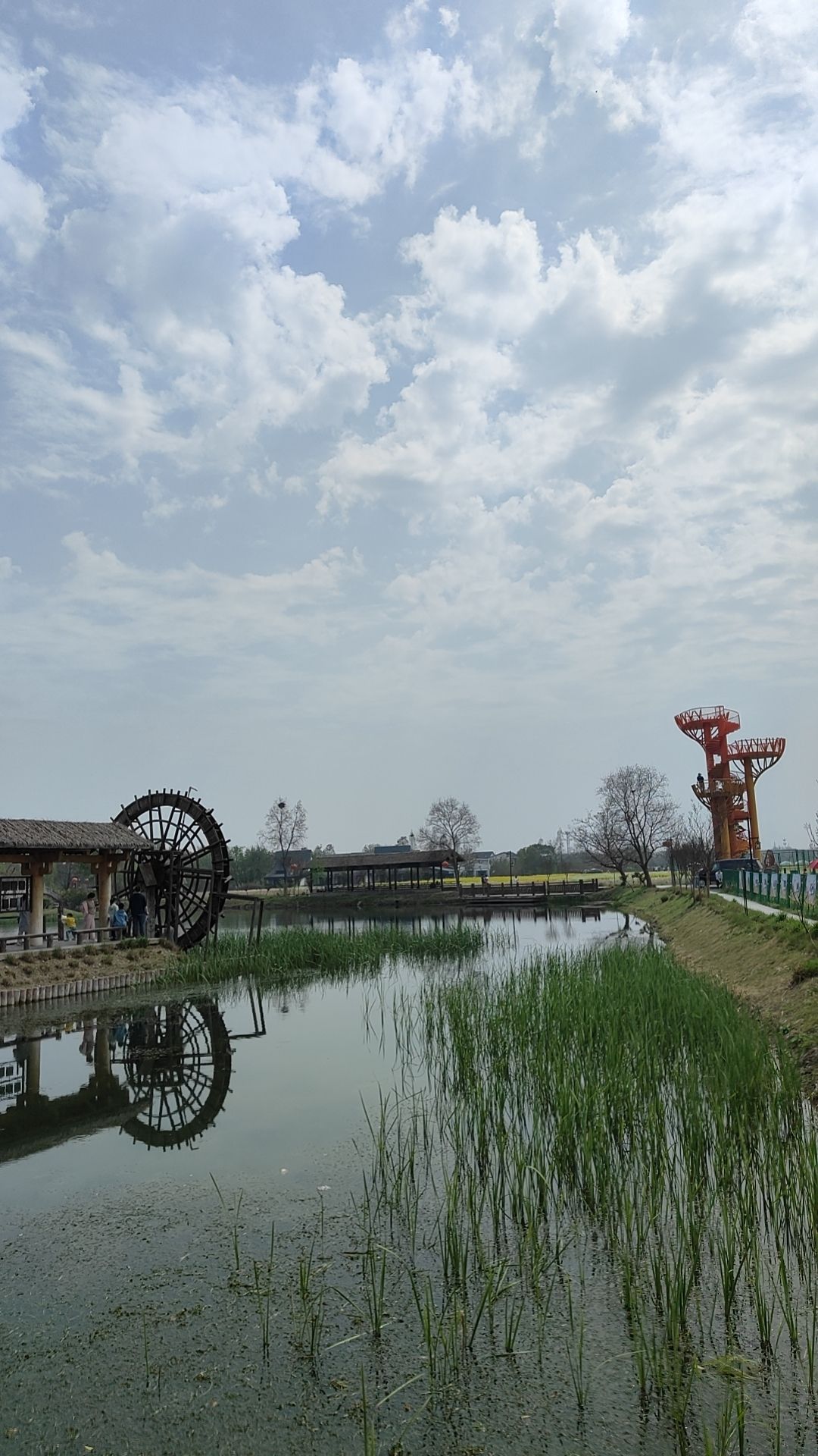 东南稻香村铁塔湿地公园旅行图片 2