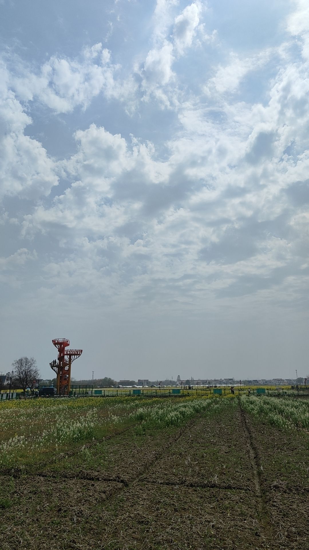 东南稻香村铁塔湿地公园旅行图片 3