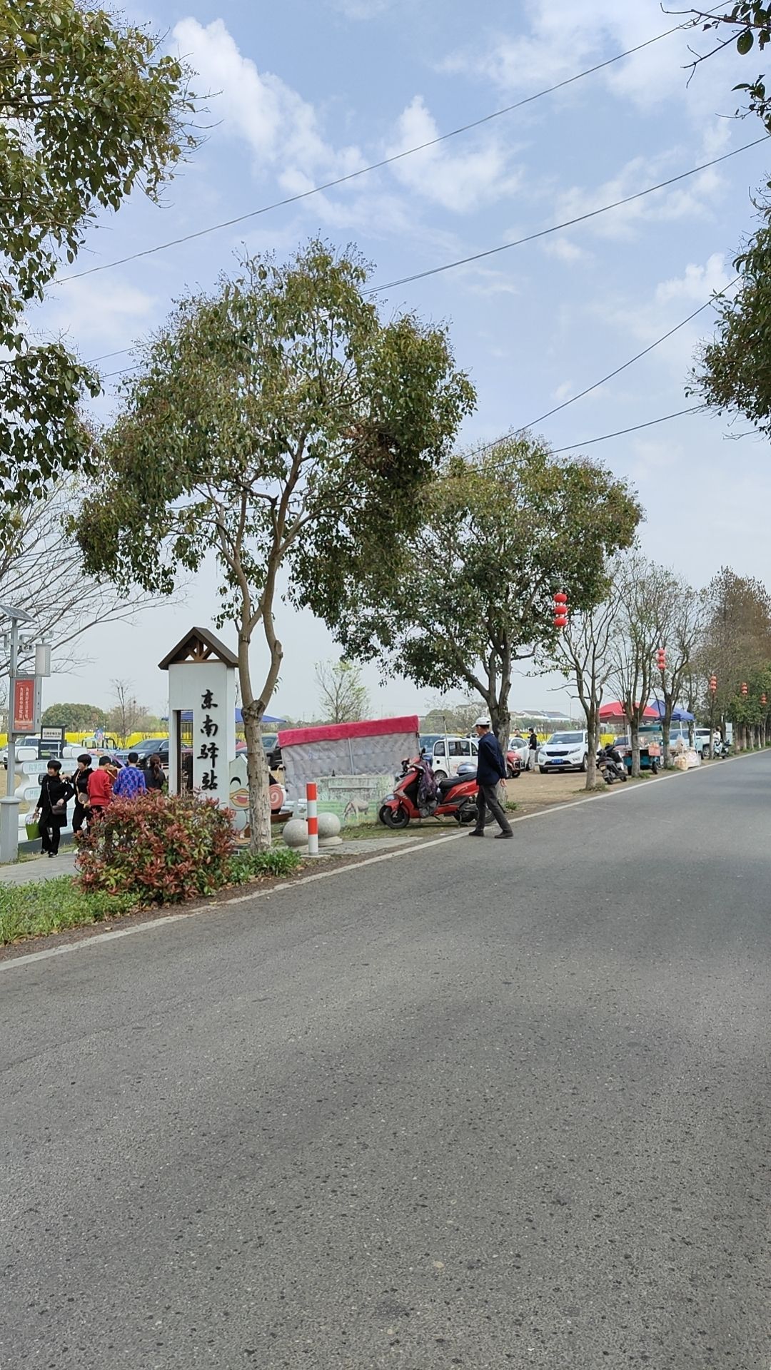 东南稻香村铁塔湿地公园旅行图片 1