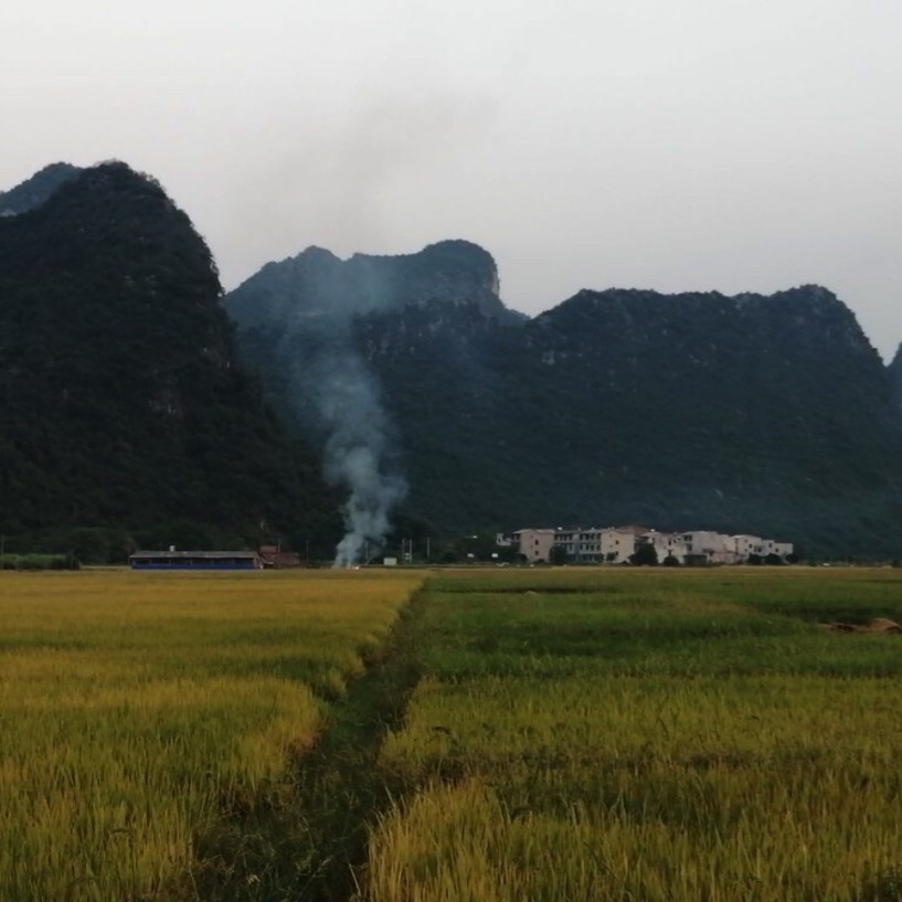 状元桥旅行图片 1