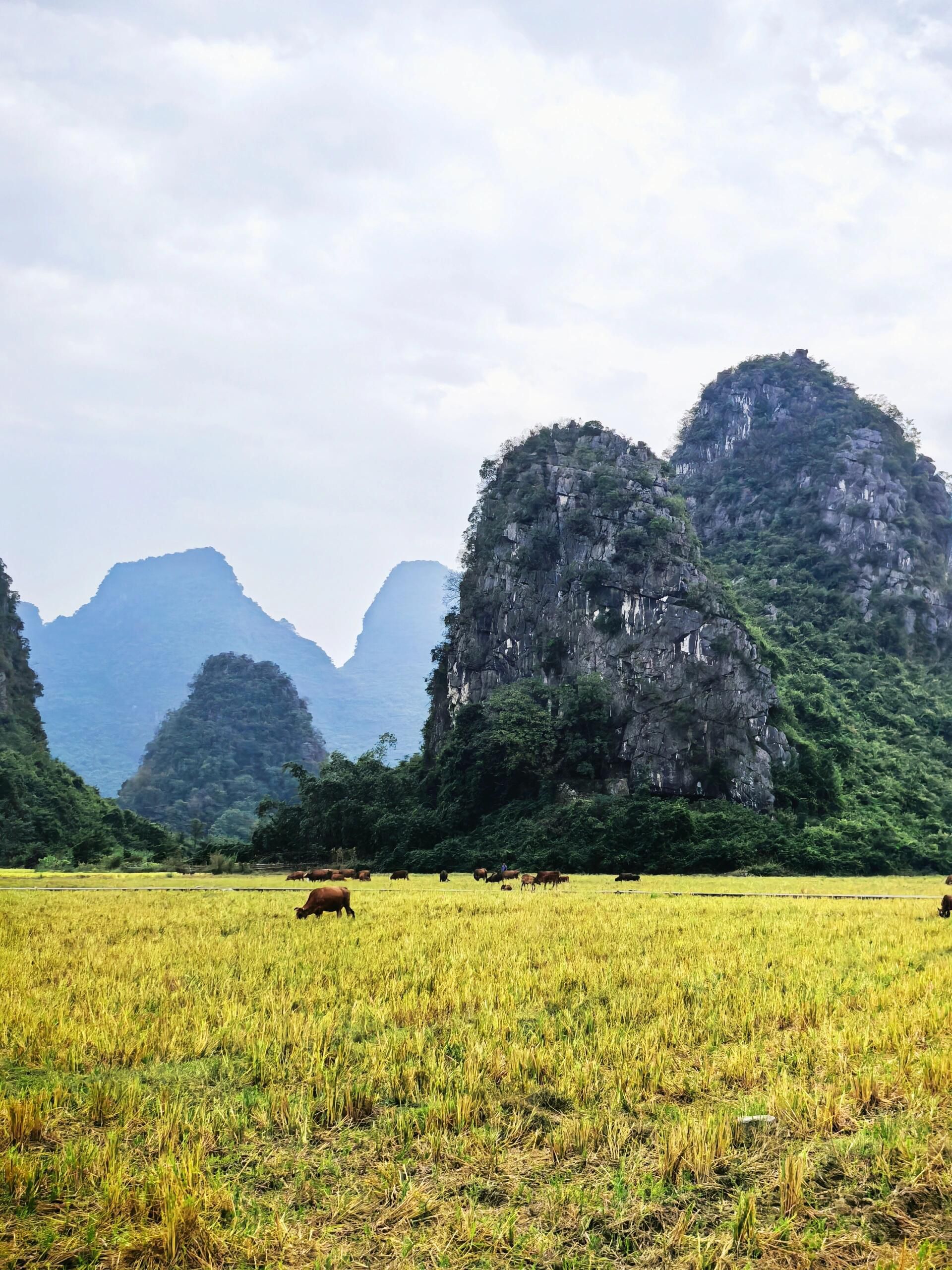 状元桥旅行图片 2