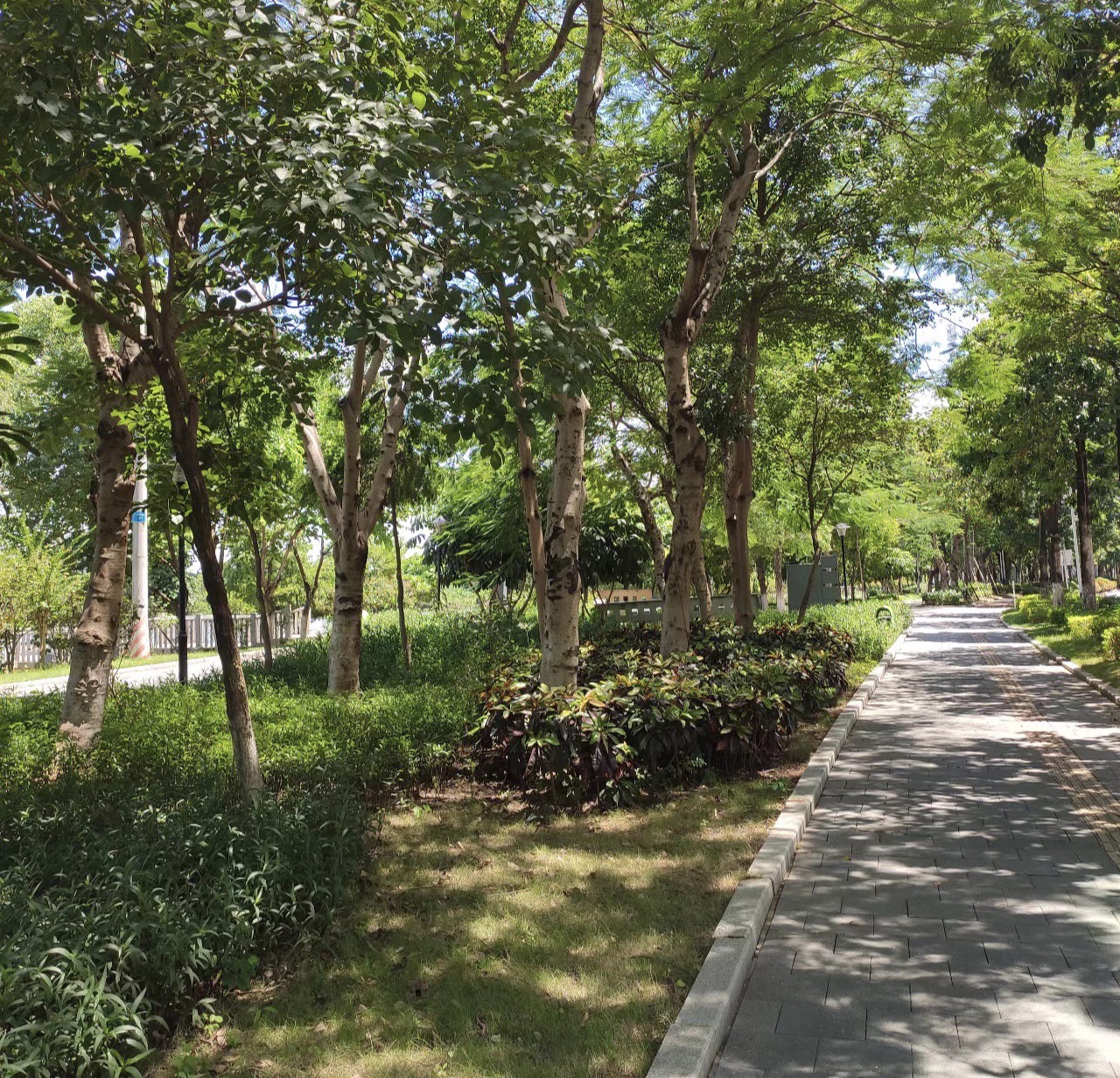 永丰禁毒主题公园旅行图片 3