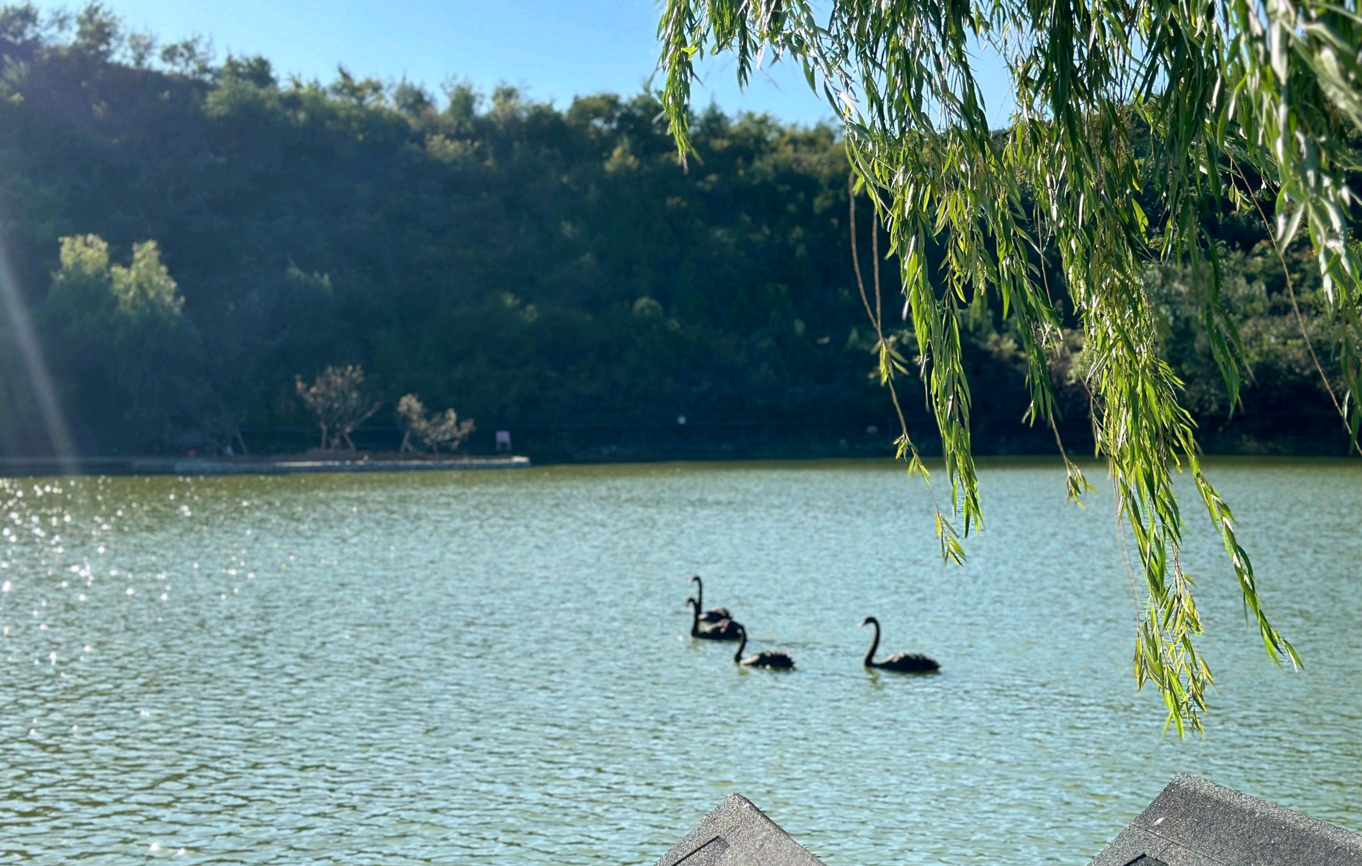 北京静之湖度假区旅行图片 1