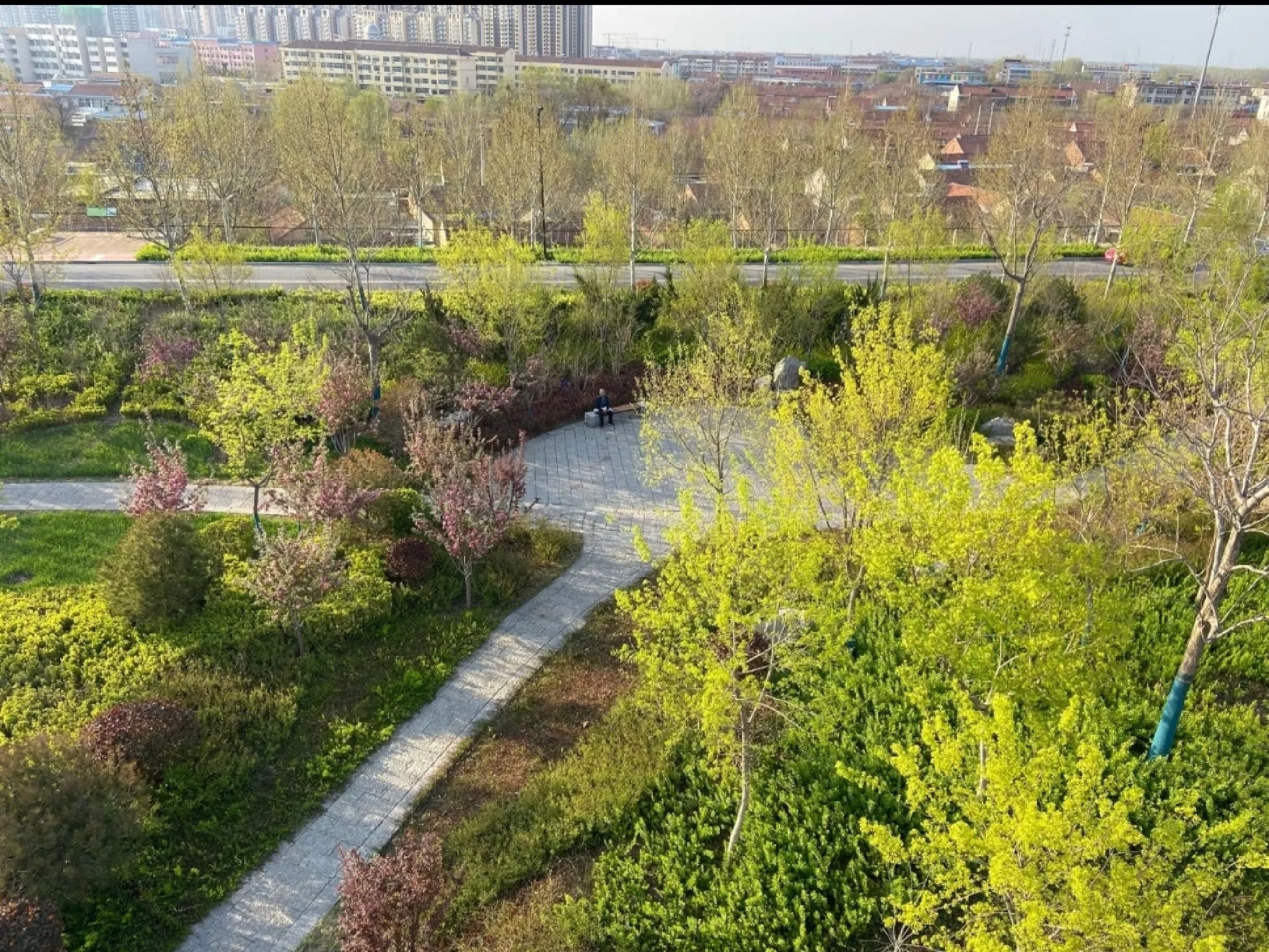 黄河健身公园旅行图片 2