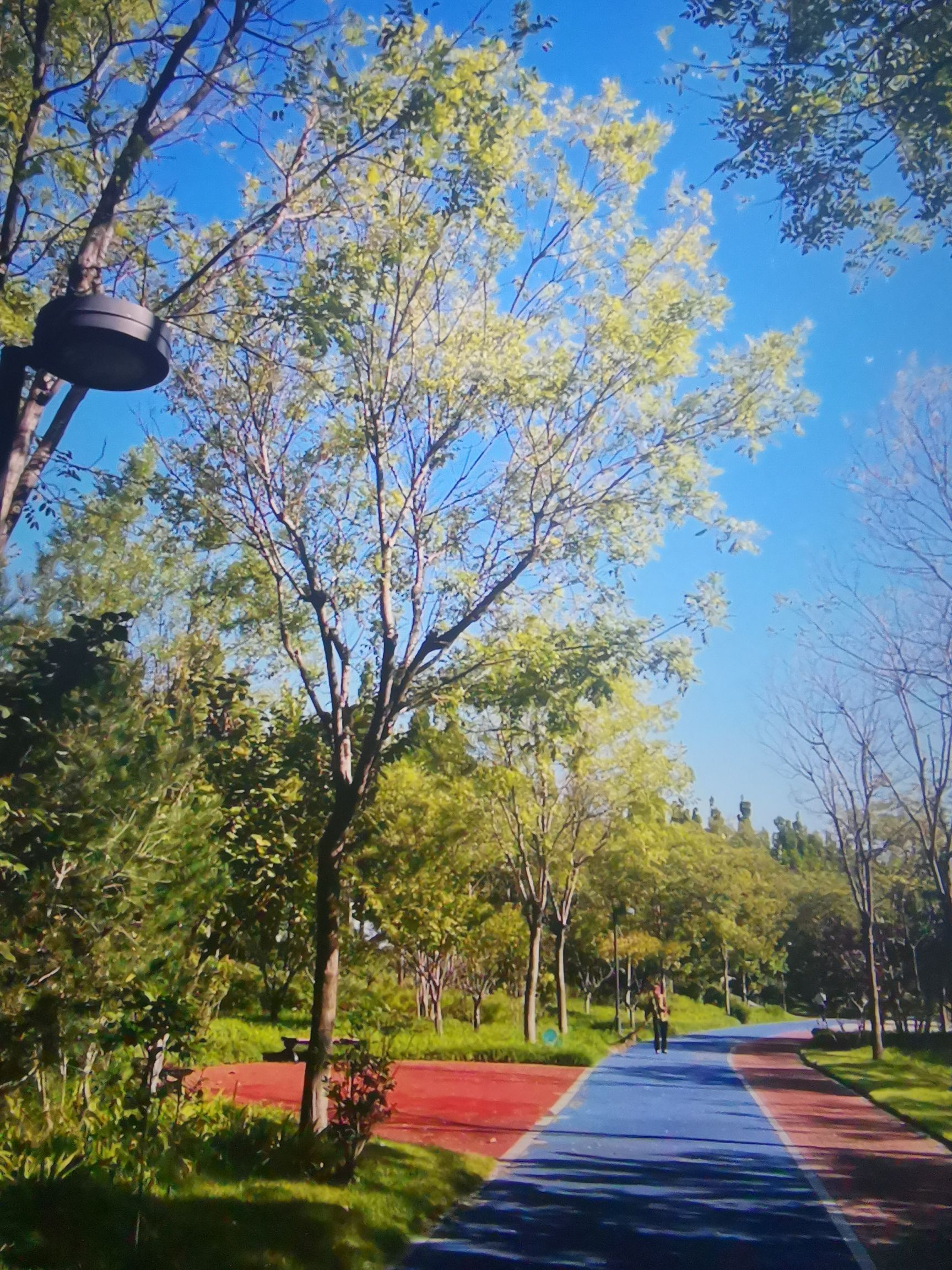 黄河健身公园旅行图片 1