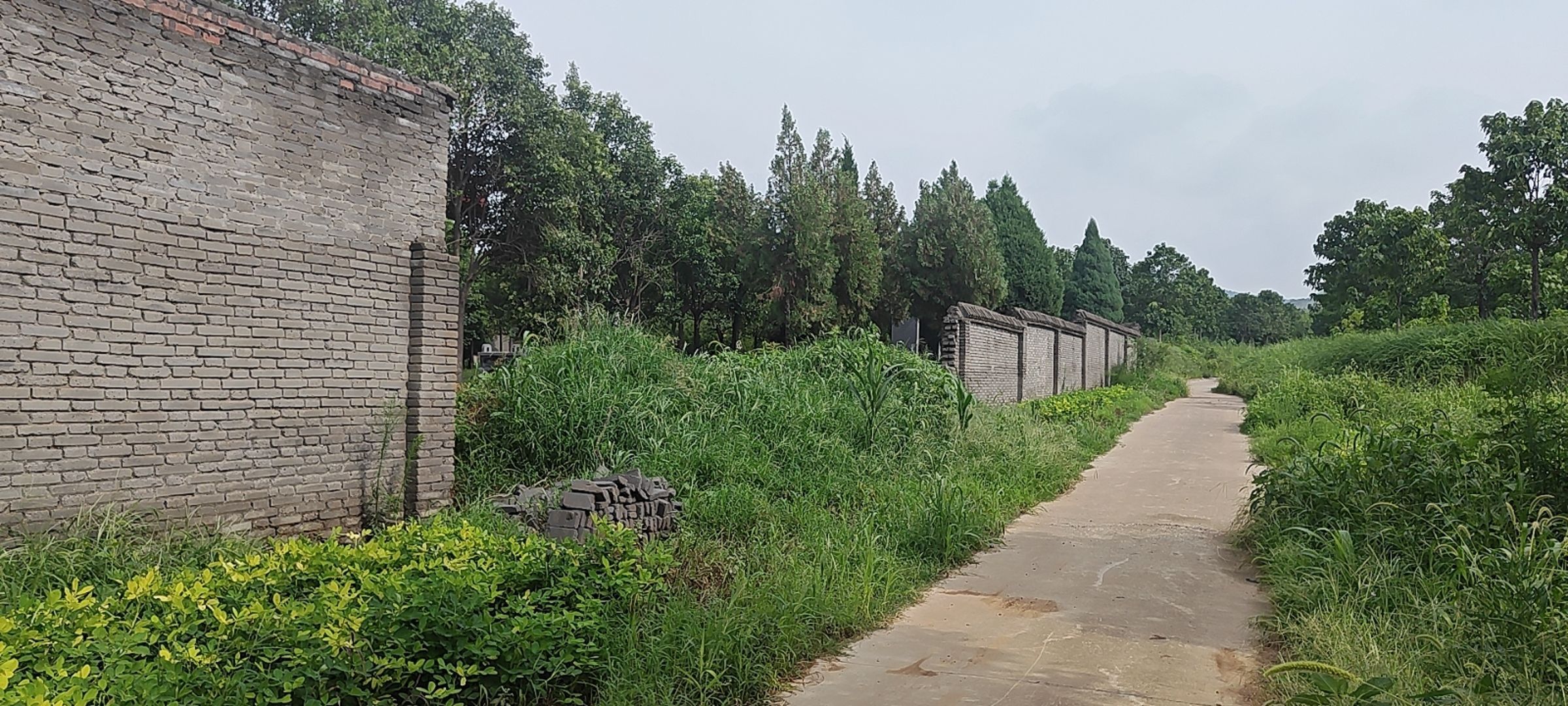 姚崇墓旅行图片 2