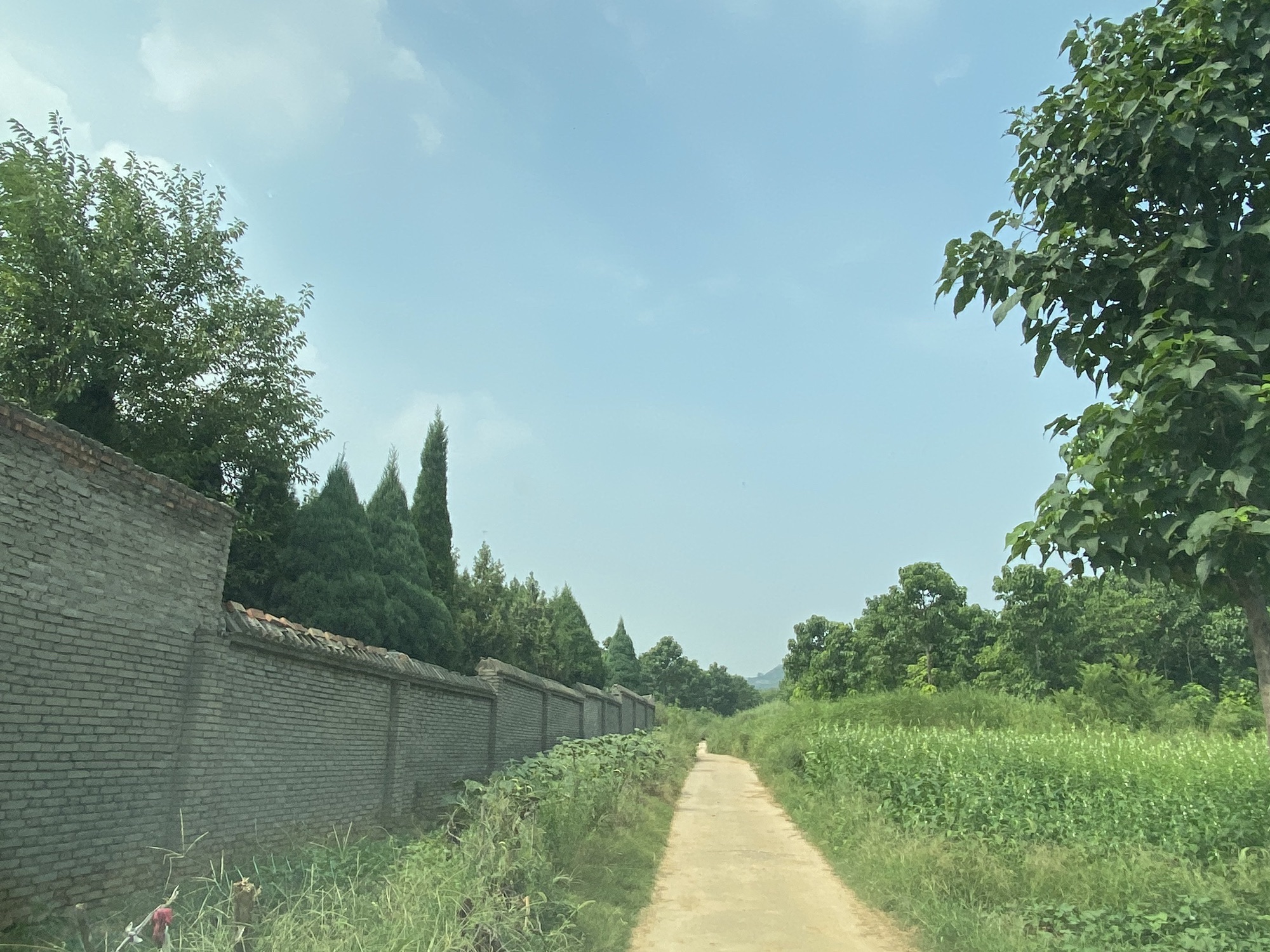 姚崇墓旅行图片 2