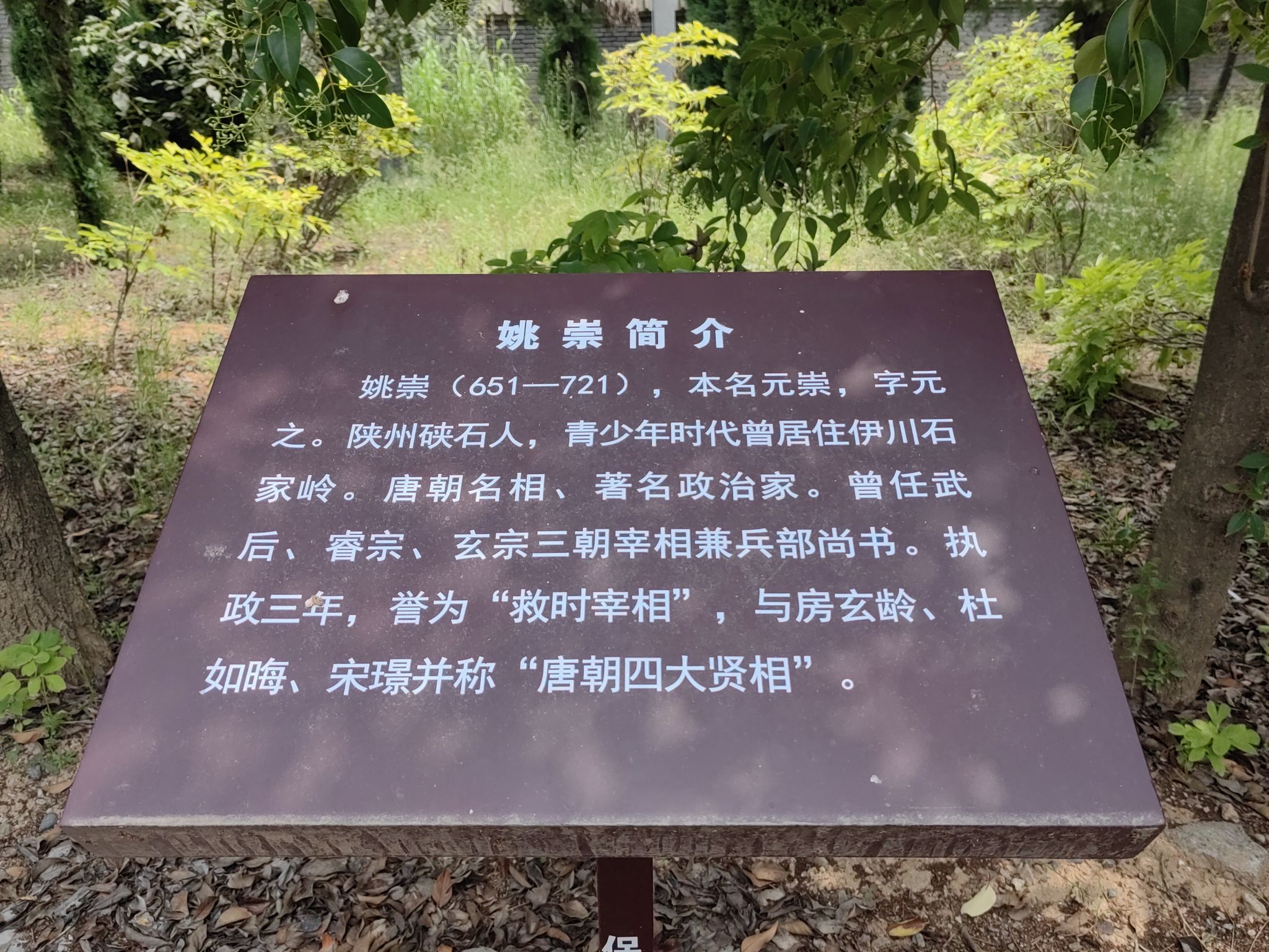 姚崇墓旅行图片 3