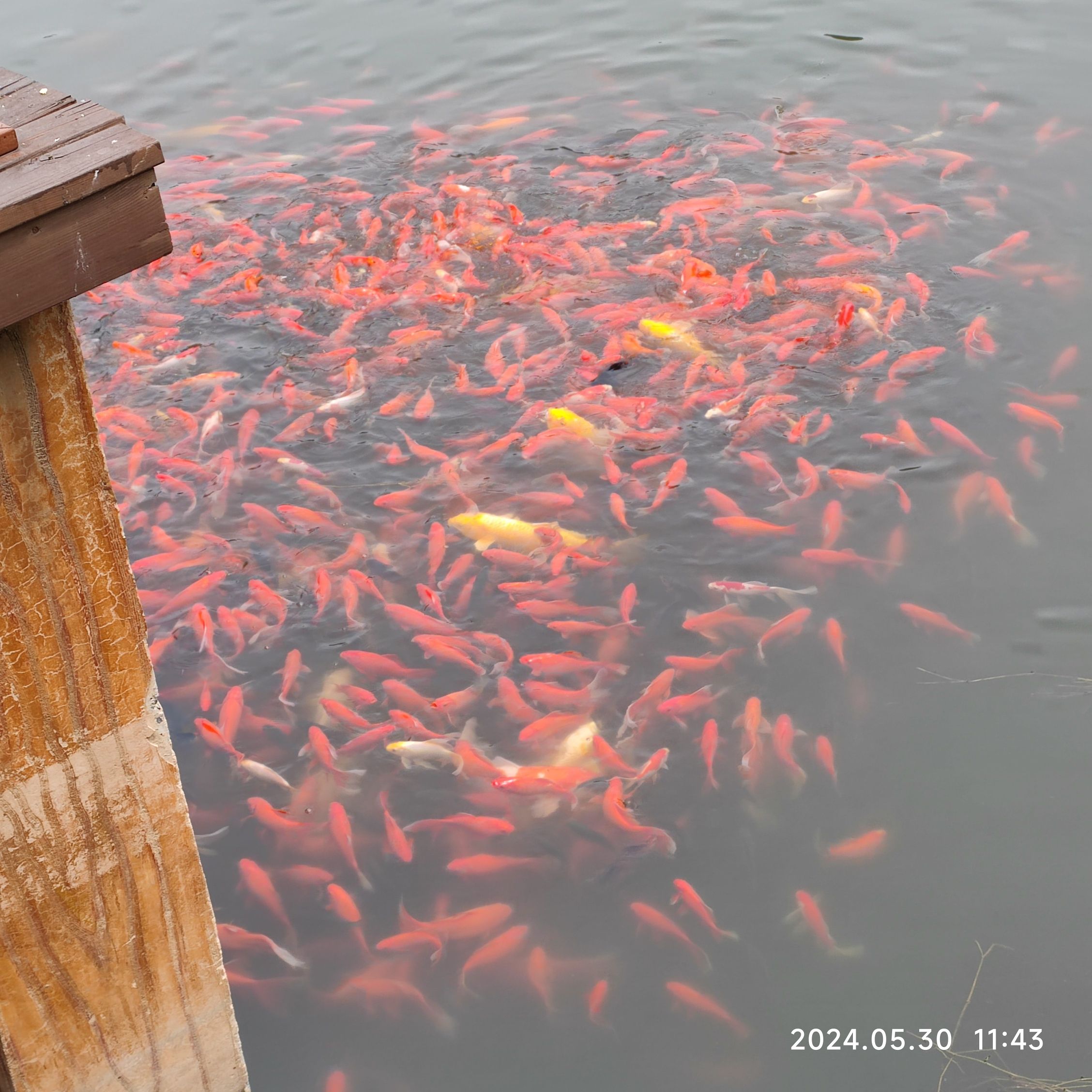 大连西城生态旅游度假区-长青湖景区