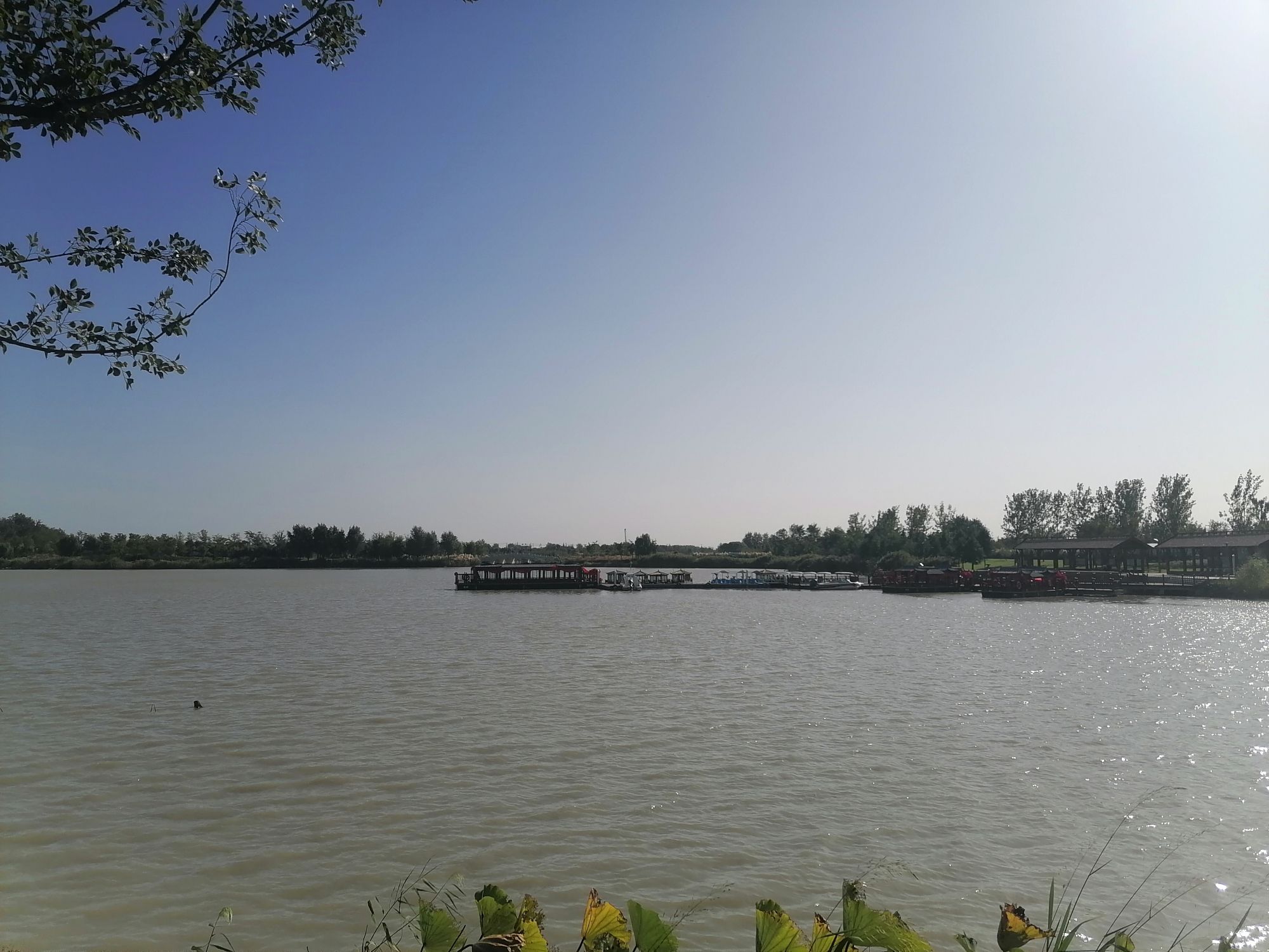 扬州北湖国家湿地公园旅行图片 3