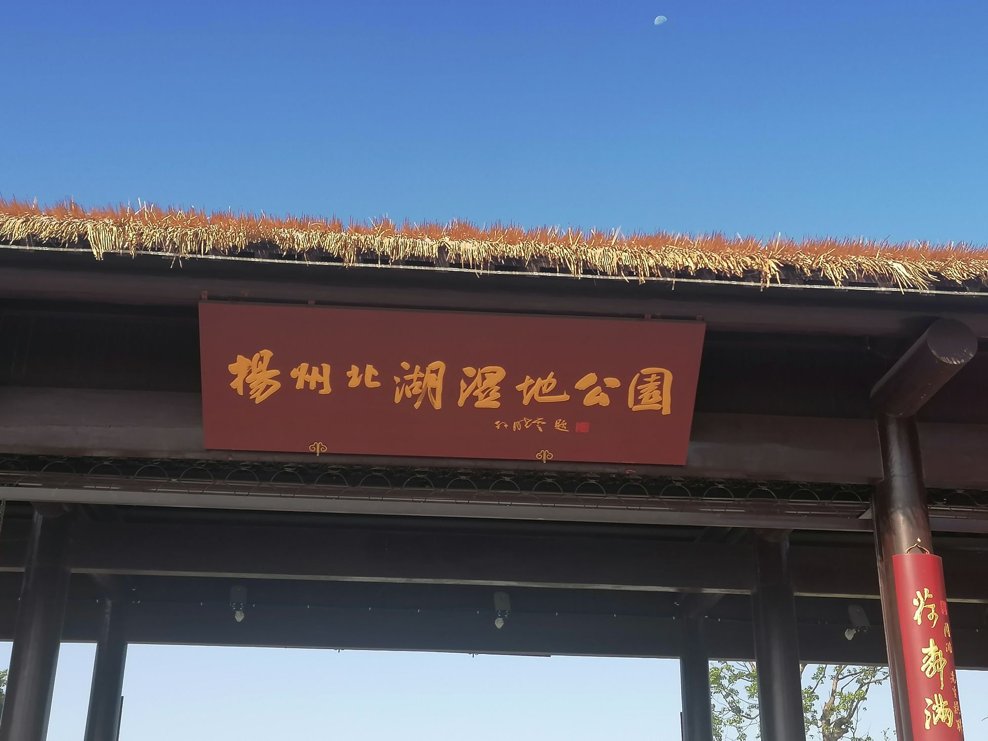 扬州北湖国家湿地公园旅行图片 2