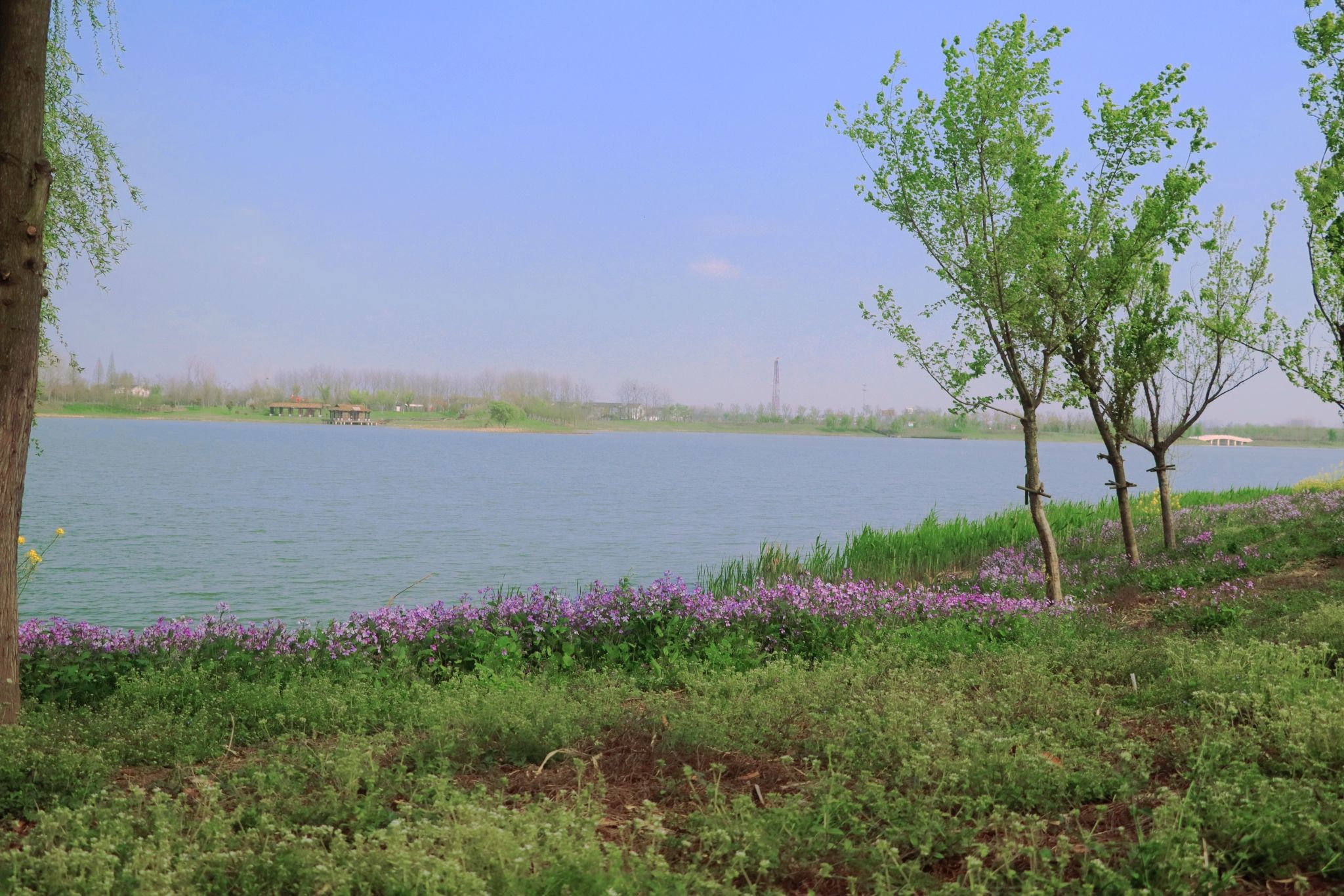 扬州北湖国家湿地公园旅行图片 1