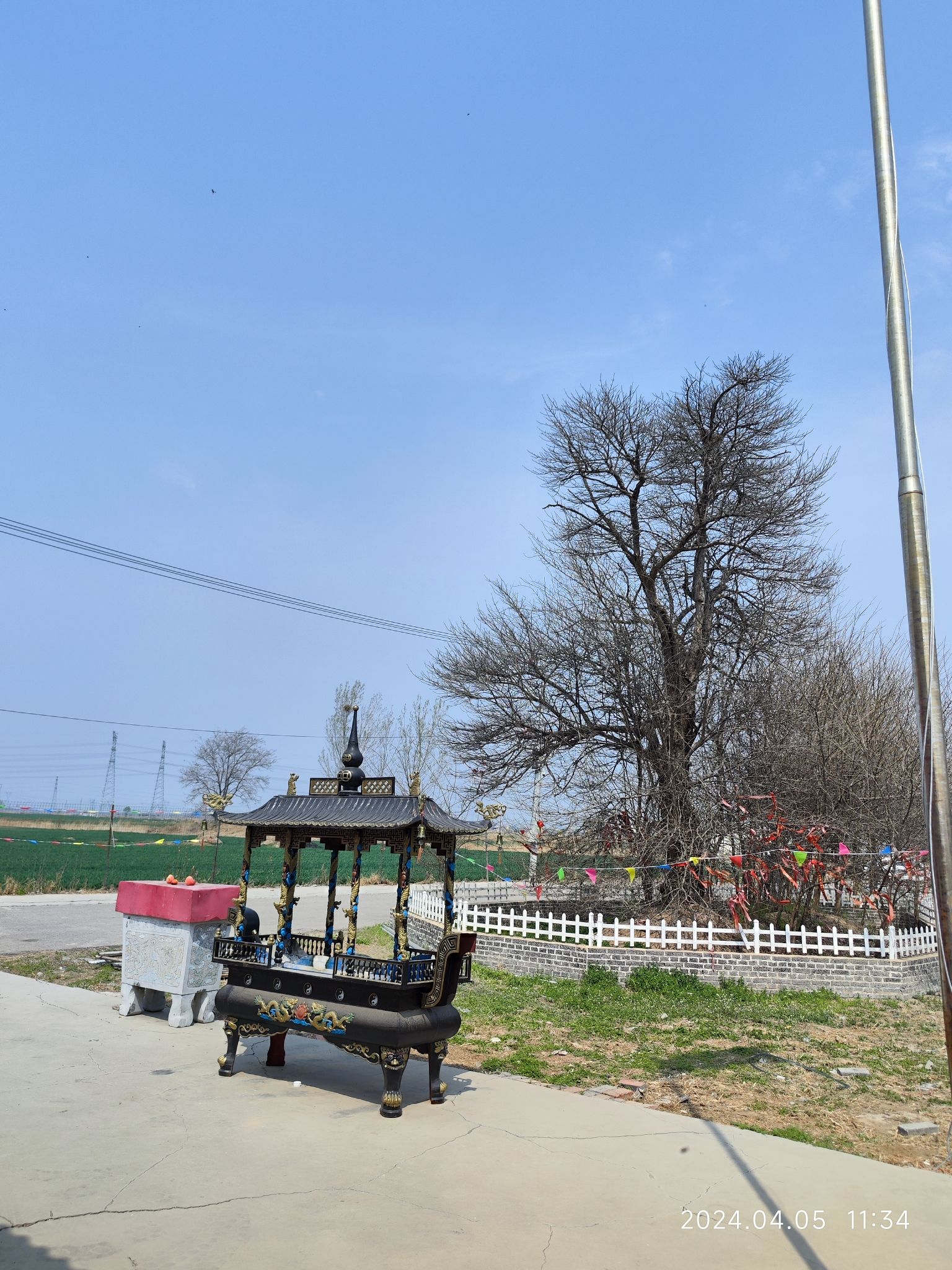 长青观旅行图片 1