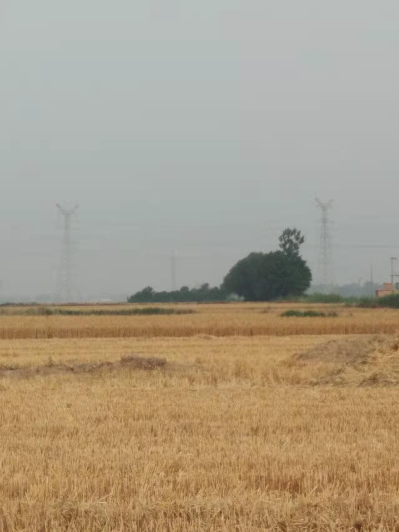 长青观旅行图片 1